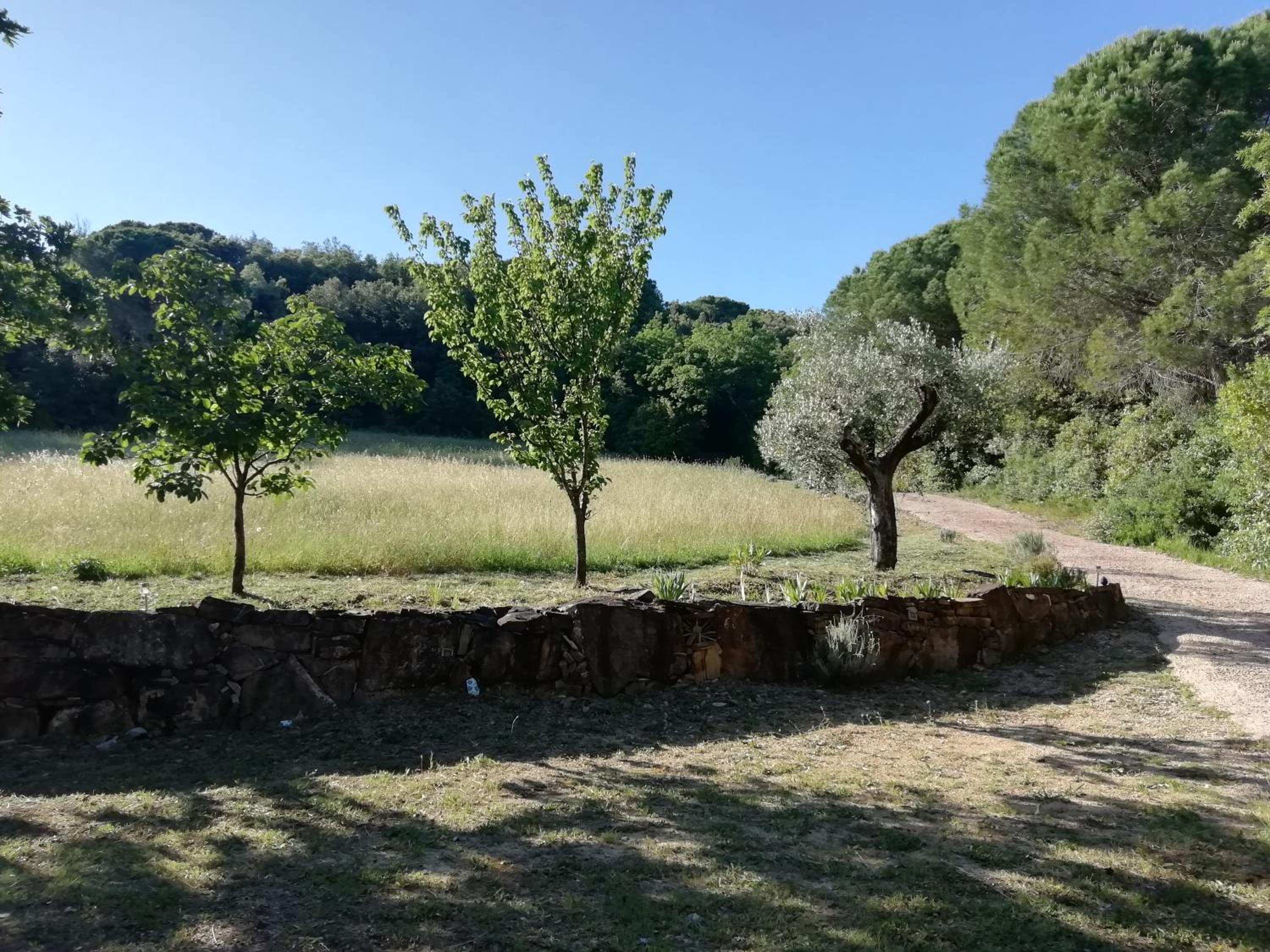 Casa Jacaranda view 3