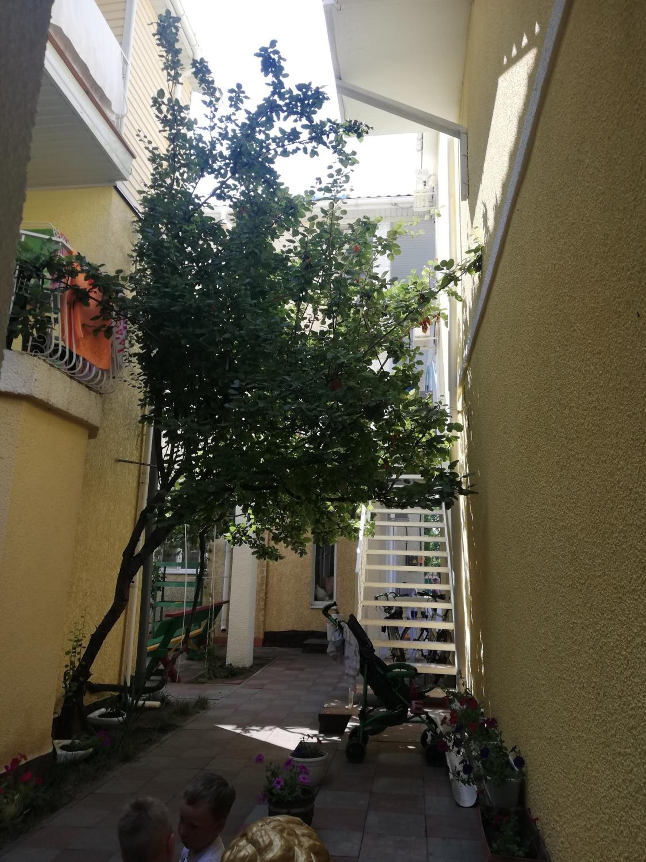 Photo 27