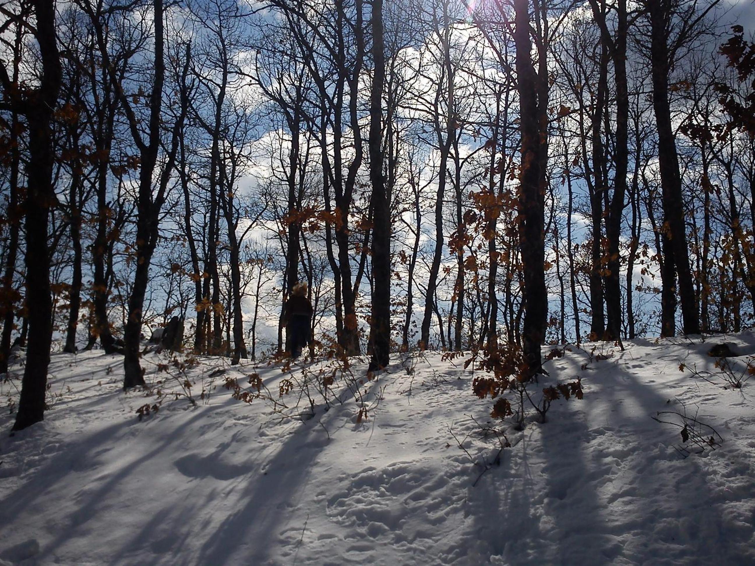 Photo 48
