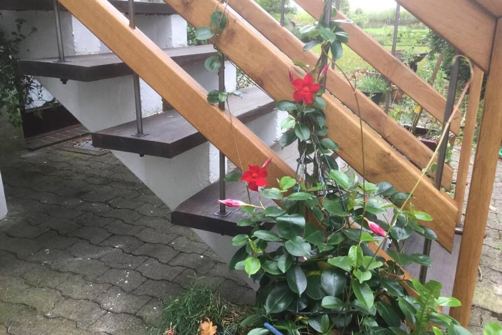 Gemütliches Nest für zwei Personen zum Ausspannen