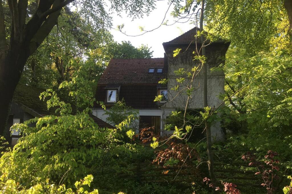 Photo 14