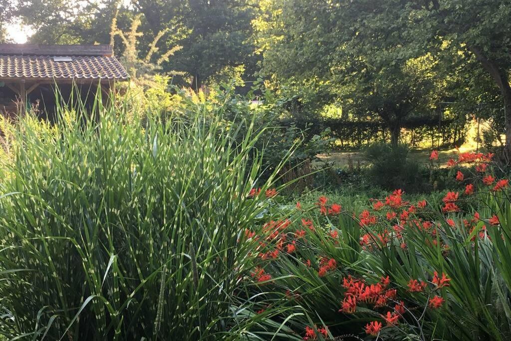 Gemütliches Nest für zwei Personen zum Ausspannen