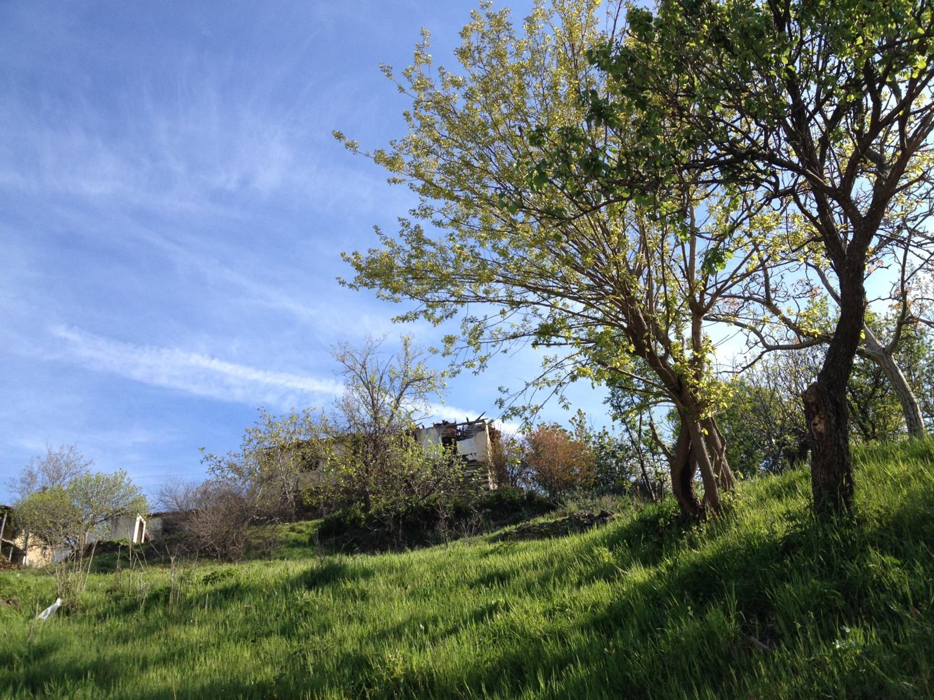 Photo 44