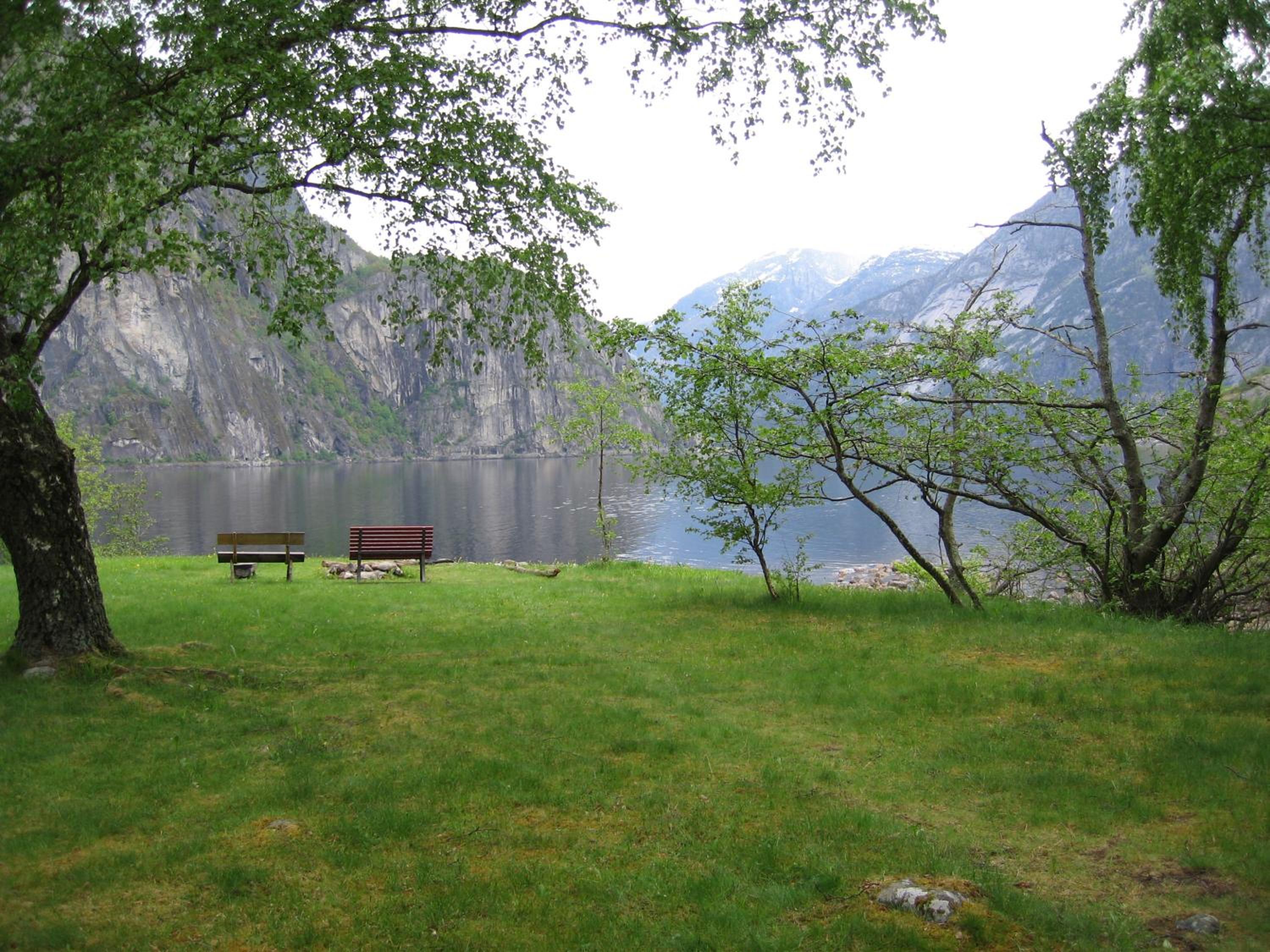 Photo 20