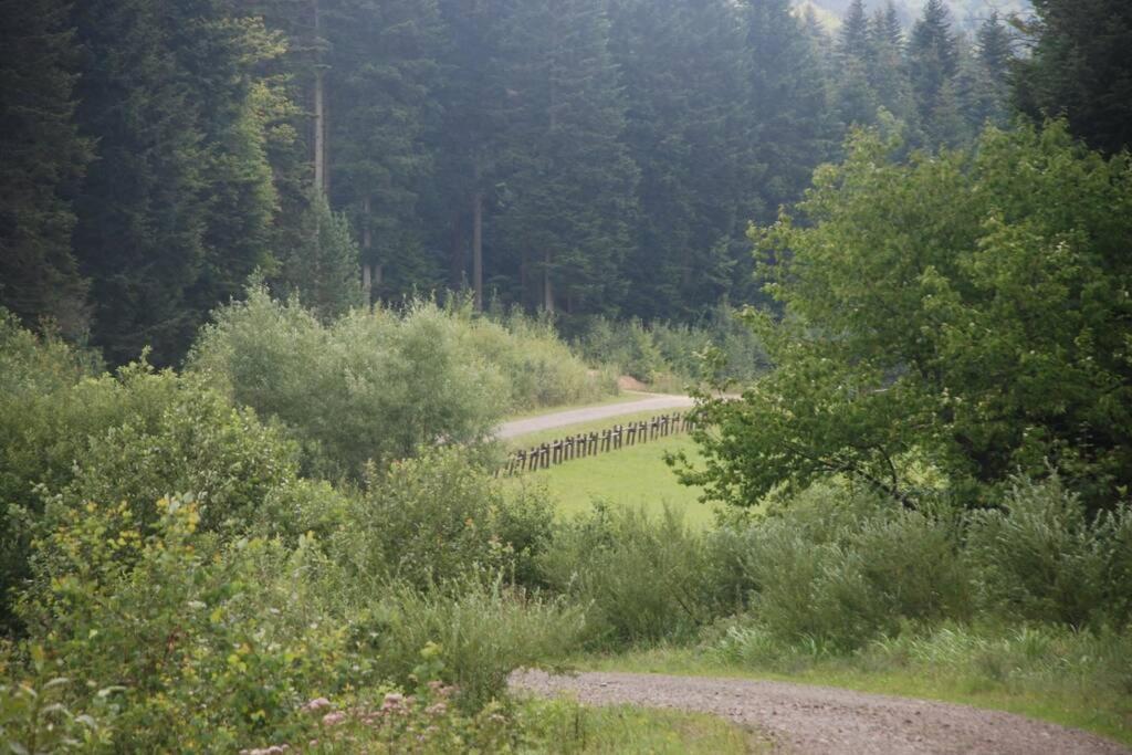 Agroturystyka Ropienka en Ropienka