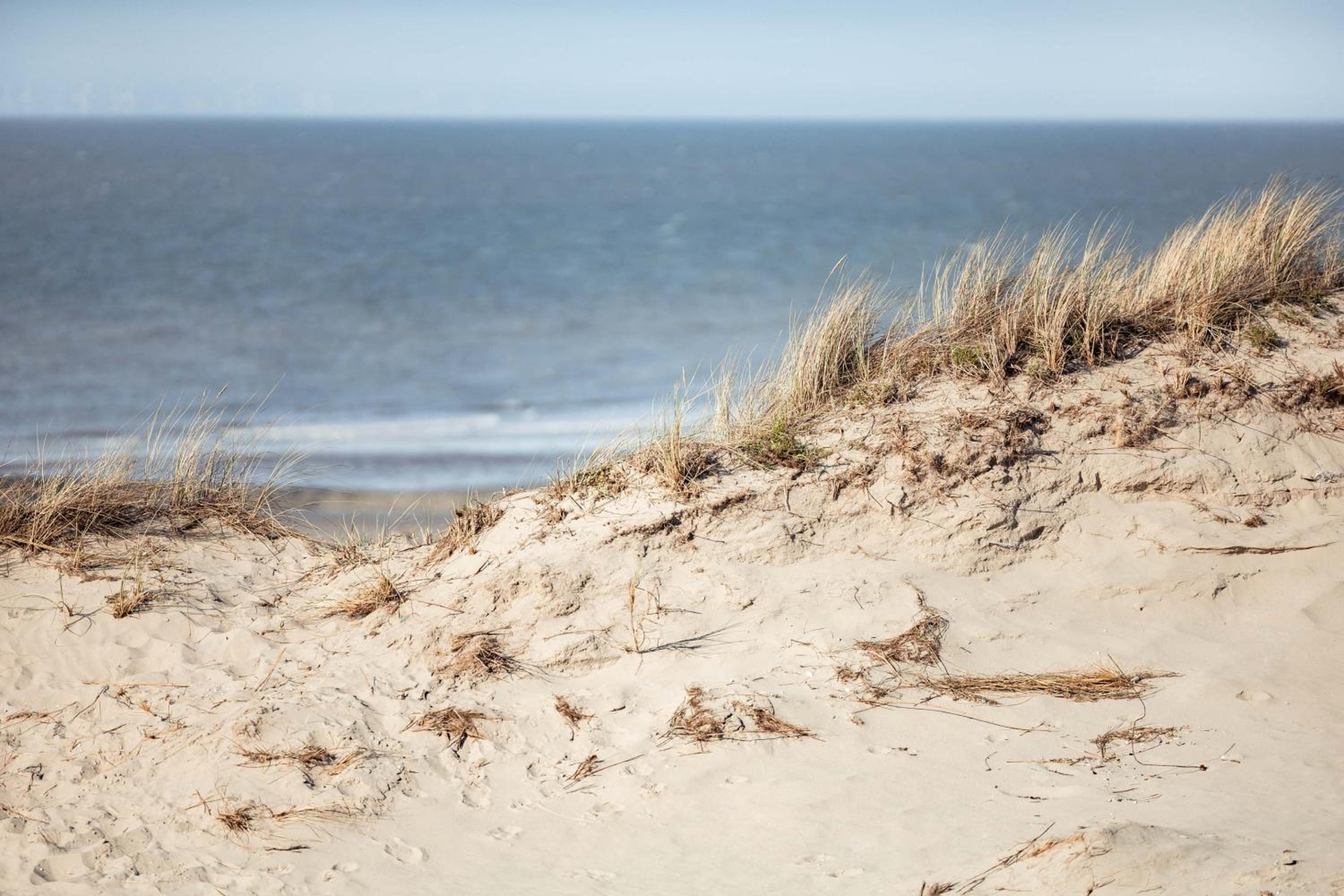 Villa Plage Oosteroever