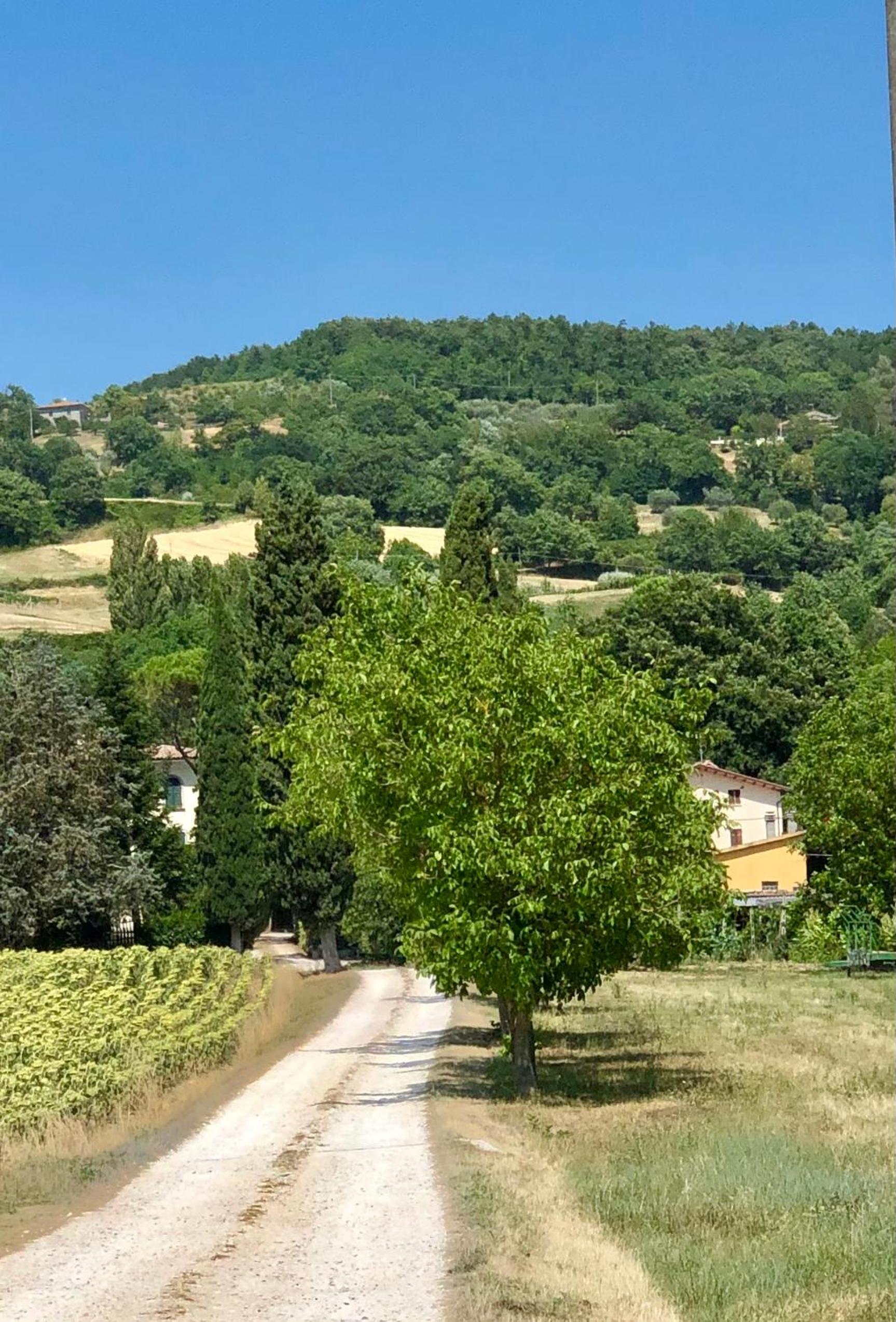 Casa Panfili view 2