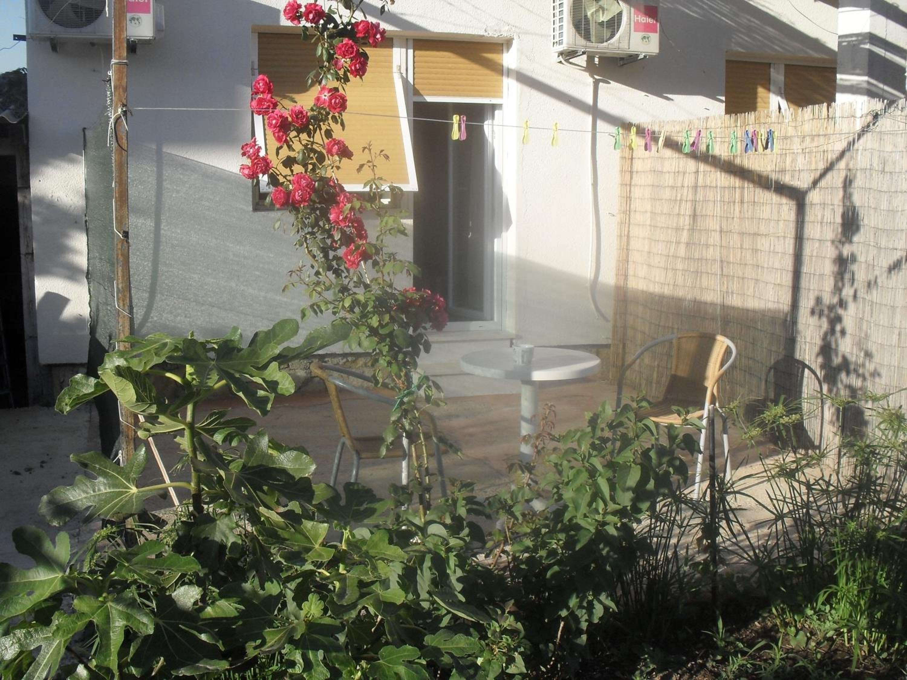 Photo 47