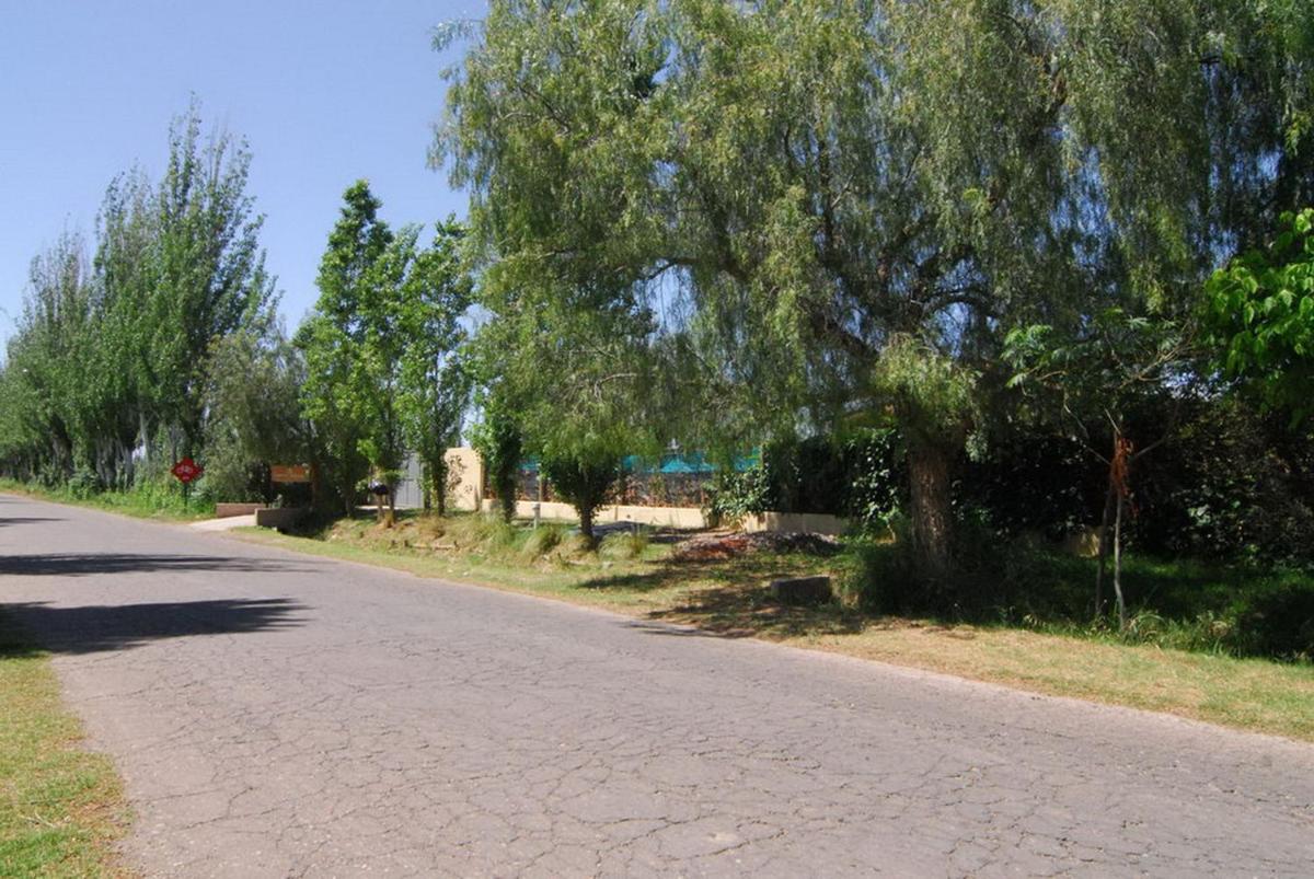children's play area