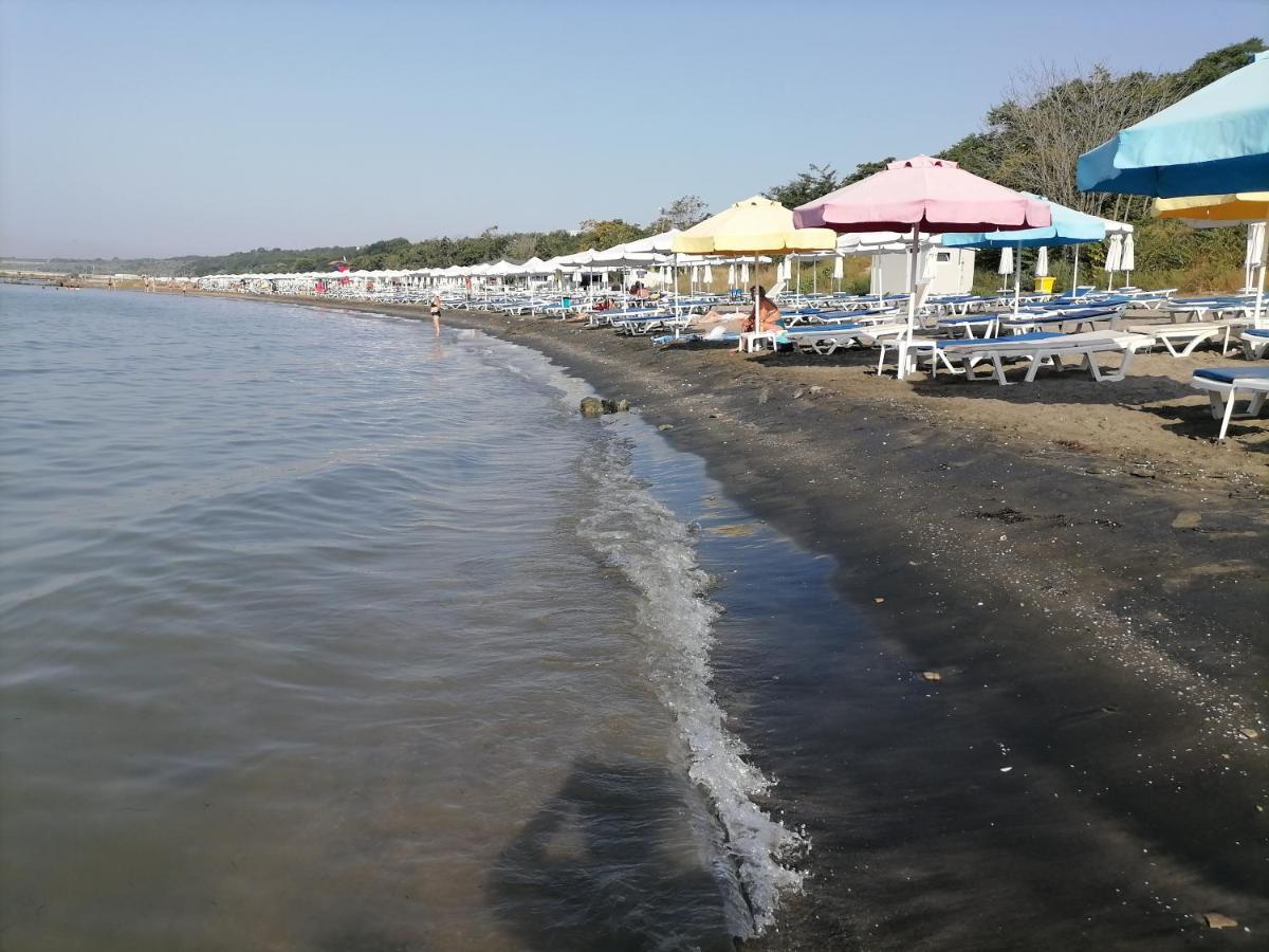 Photo 43