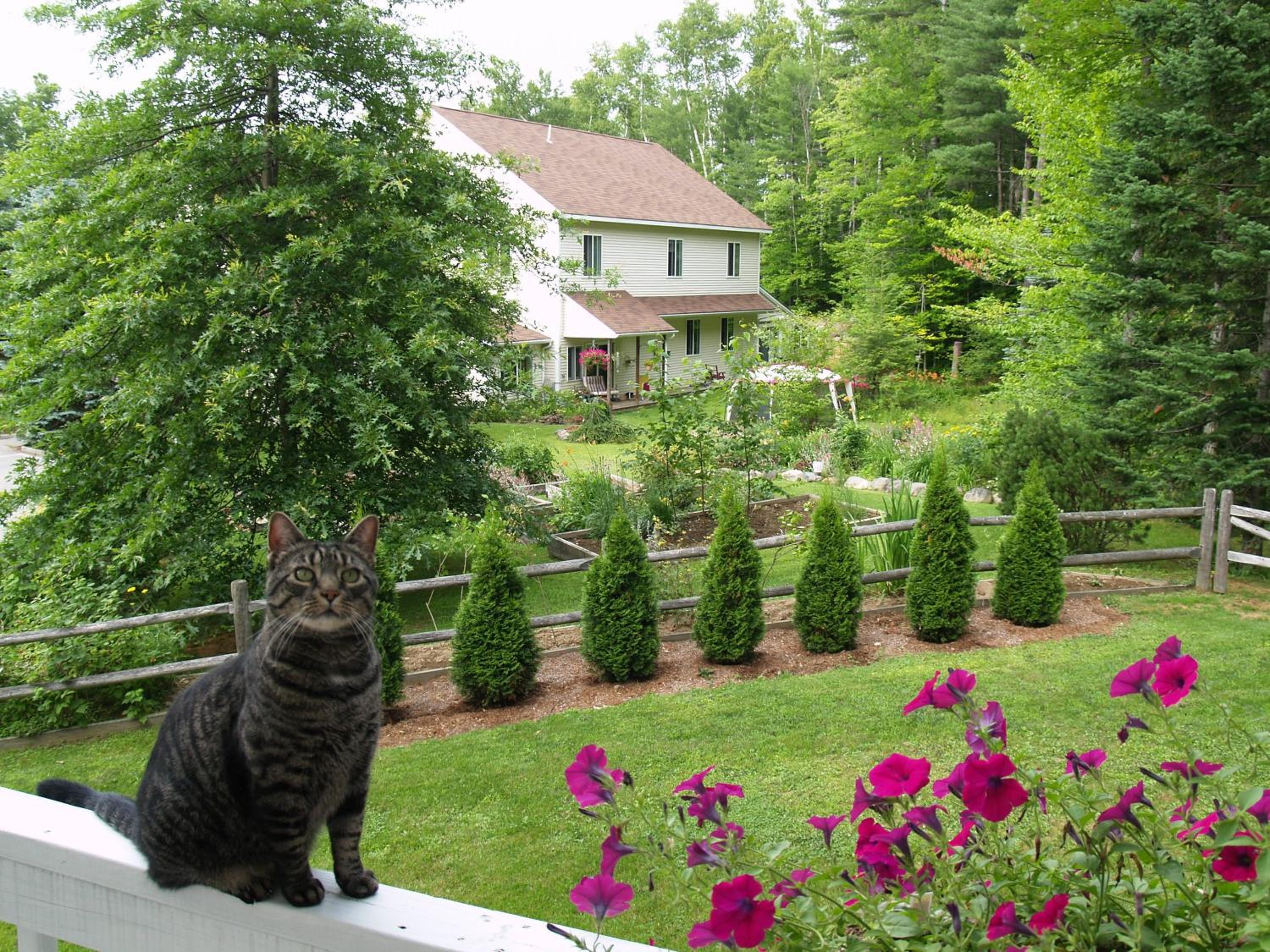 Wilson Lake Inn
