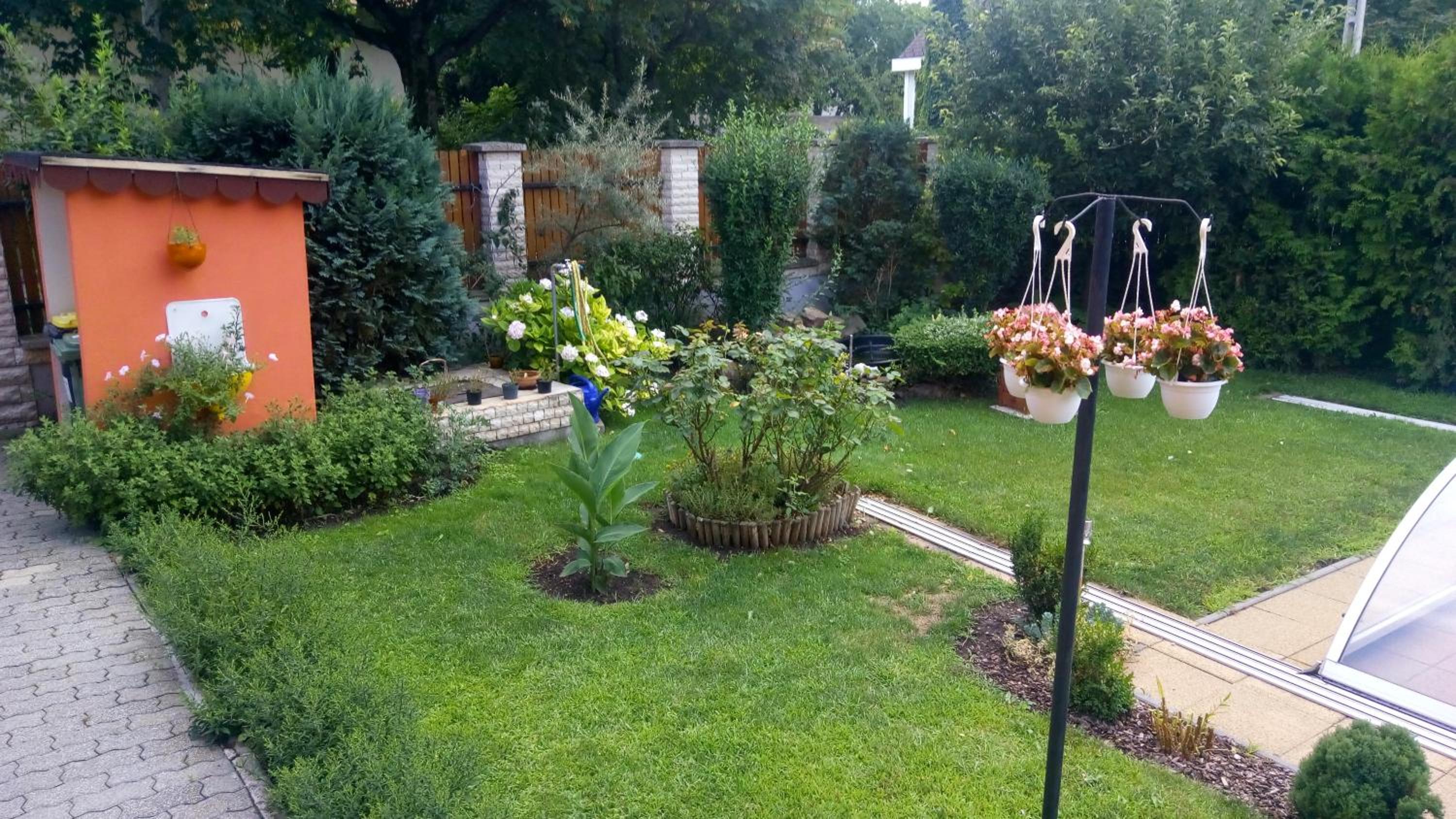 Photo 16