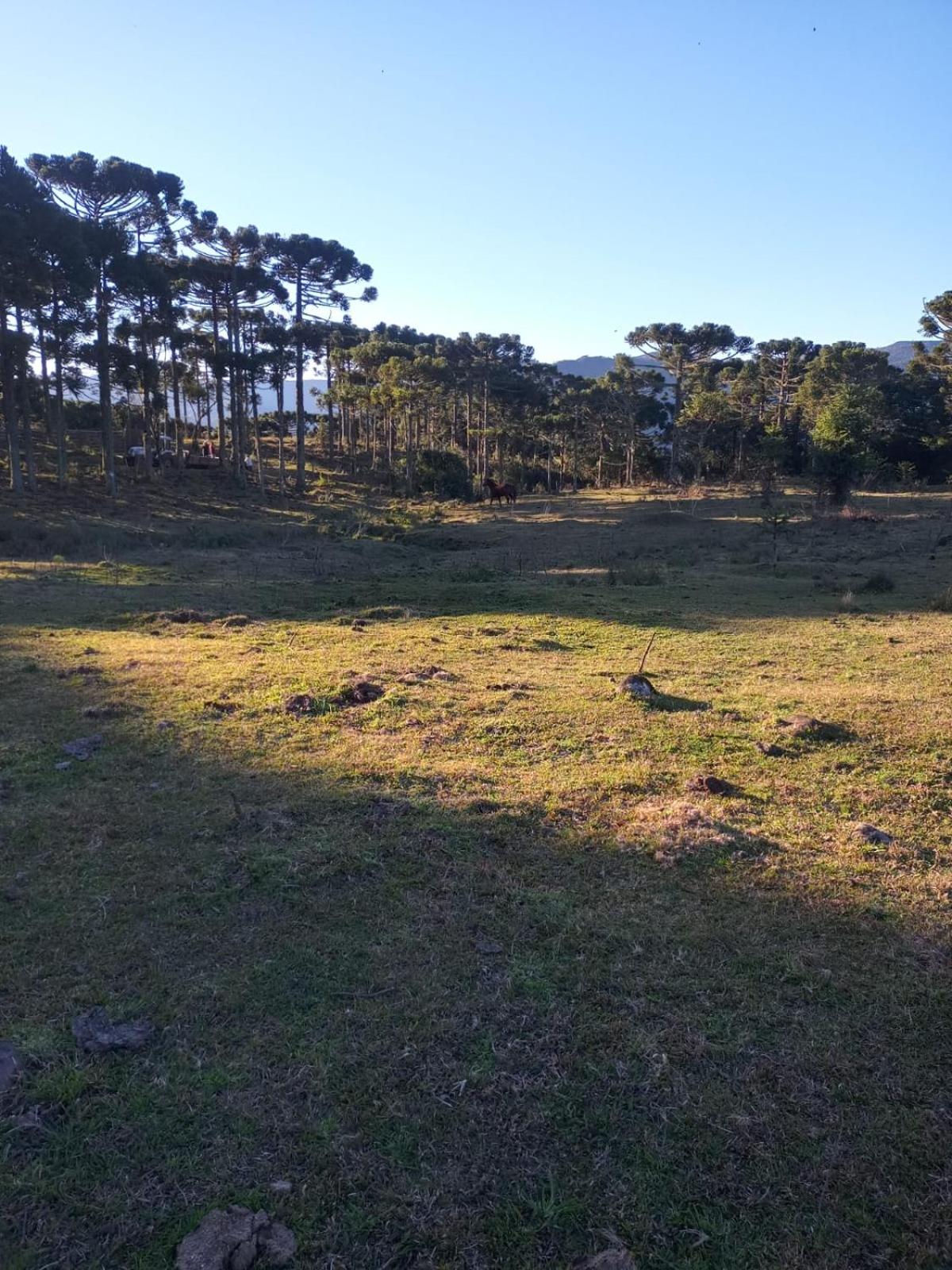 Quinta da Serra