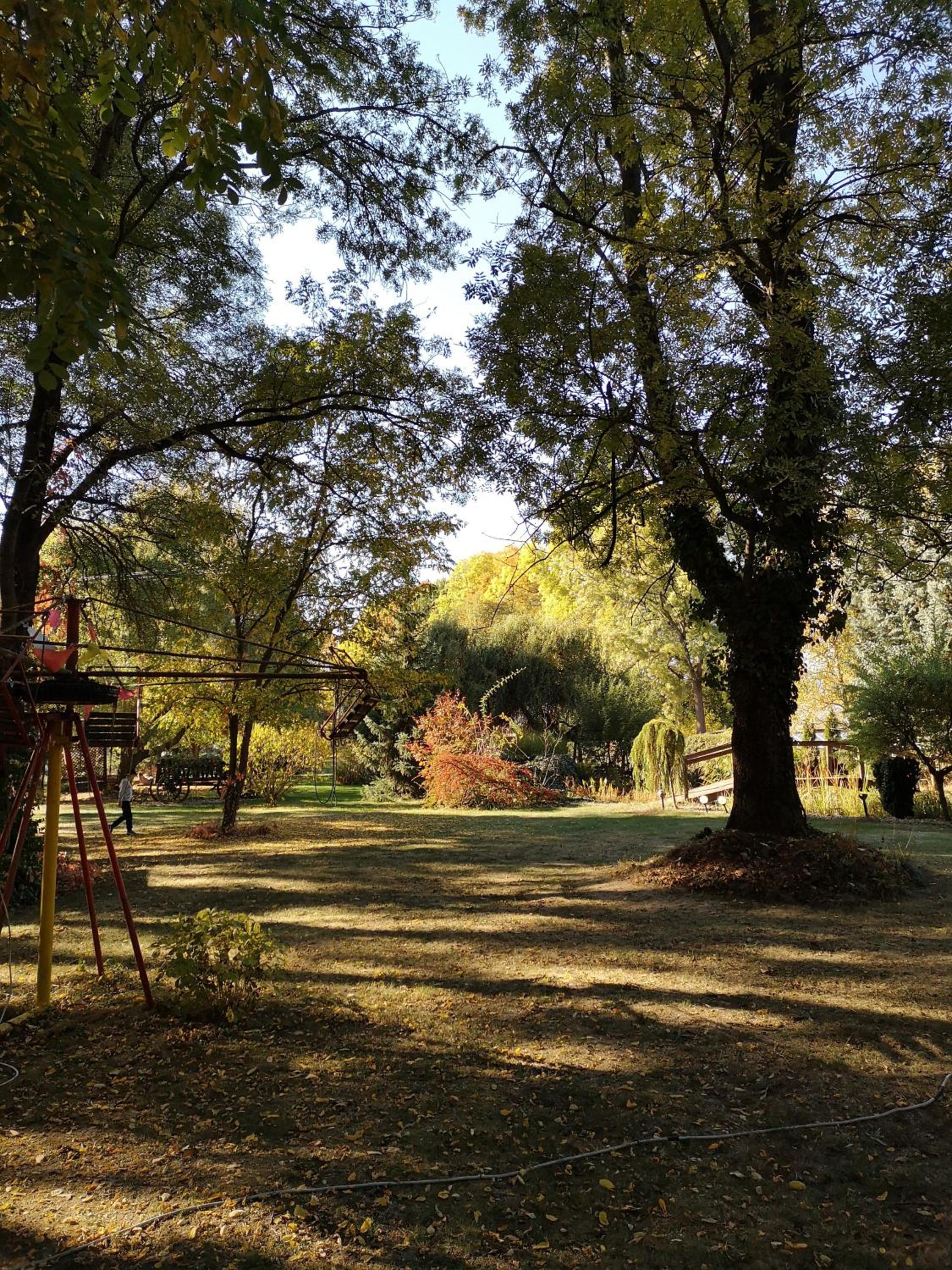 Photo 21