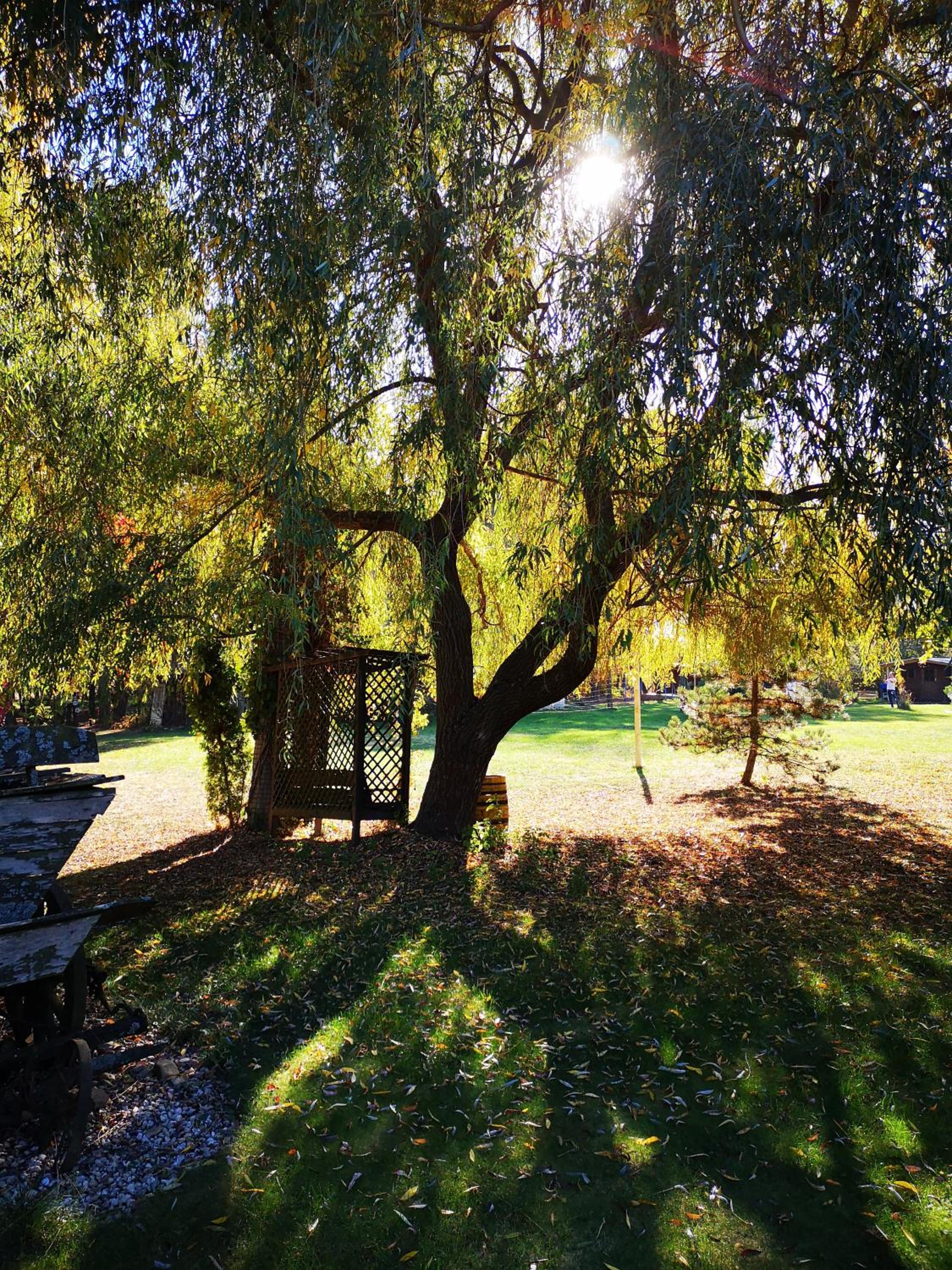 Photo 22
