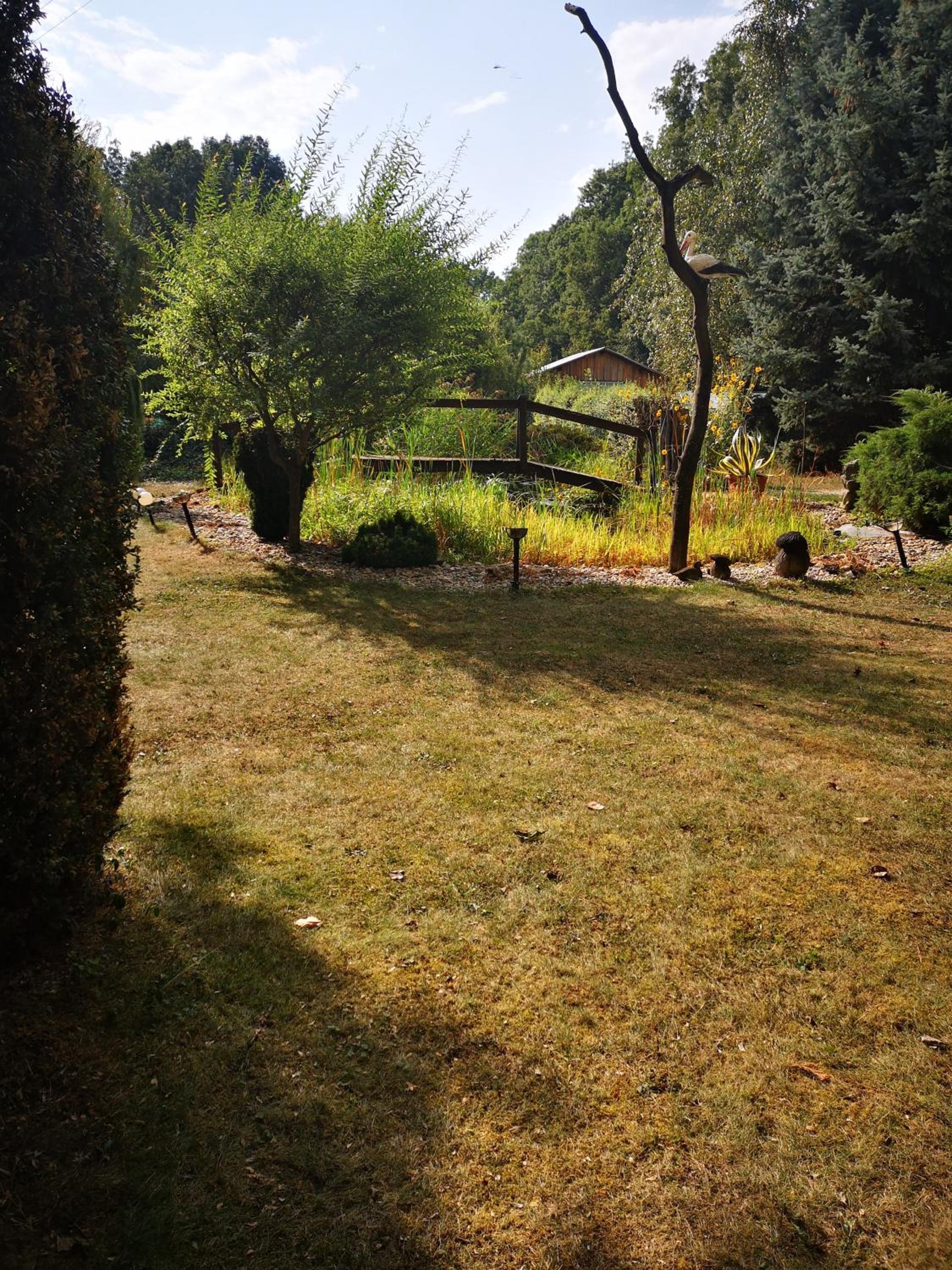 Photo 24