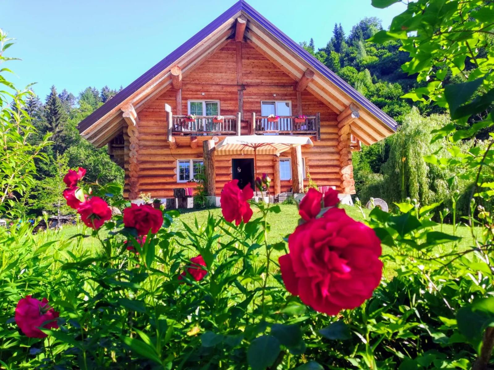 Chalet le Dorf