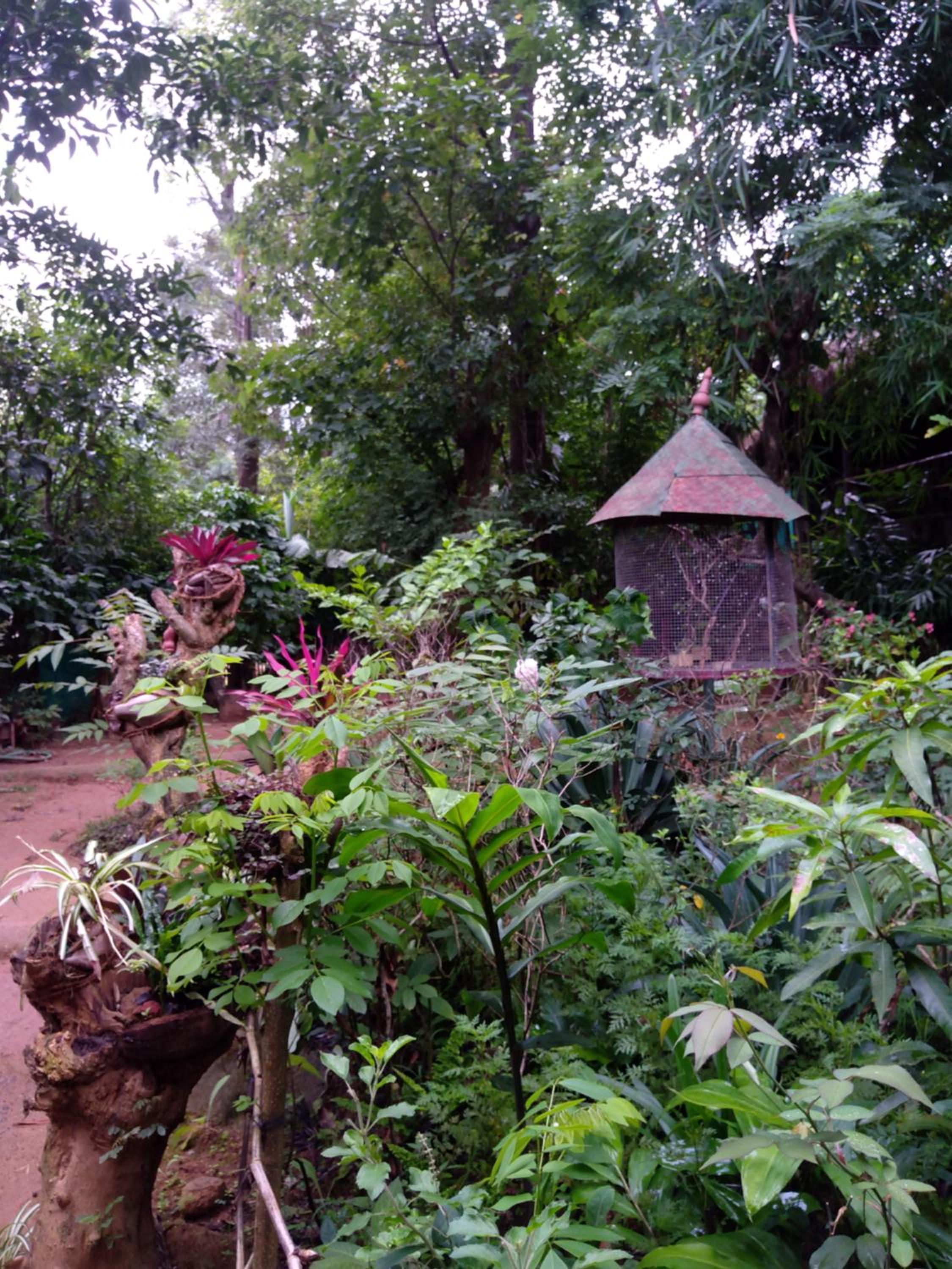 Photo 8