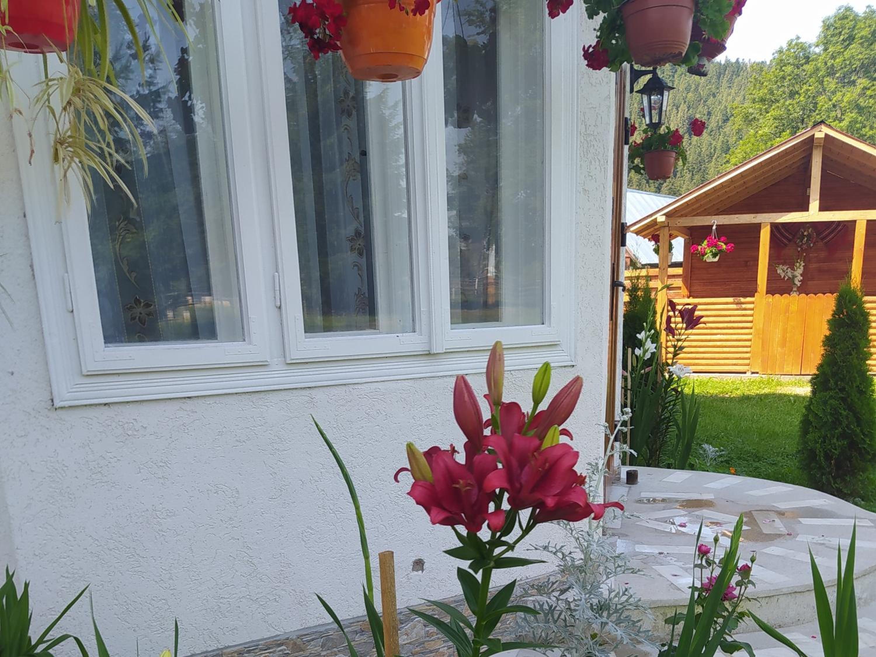 Photo 29