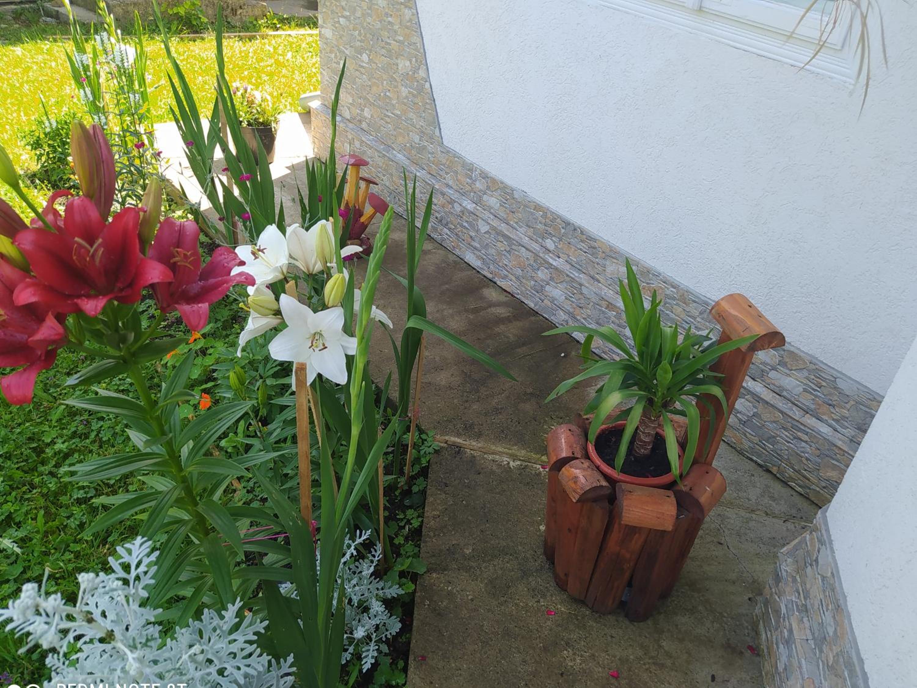 Photo 20
