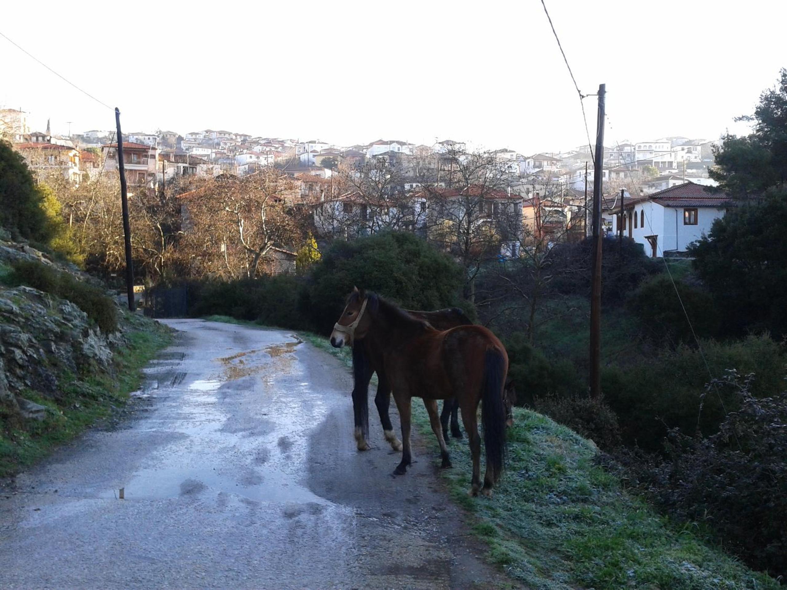 Photo 43