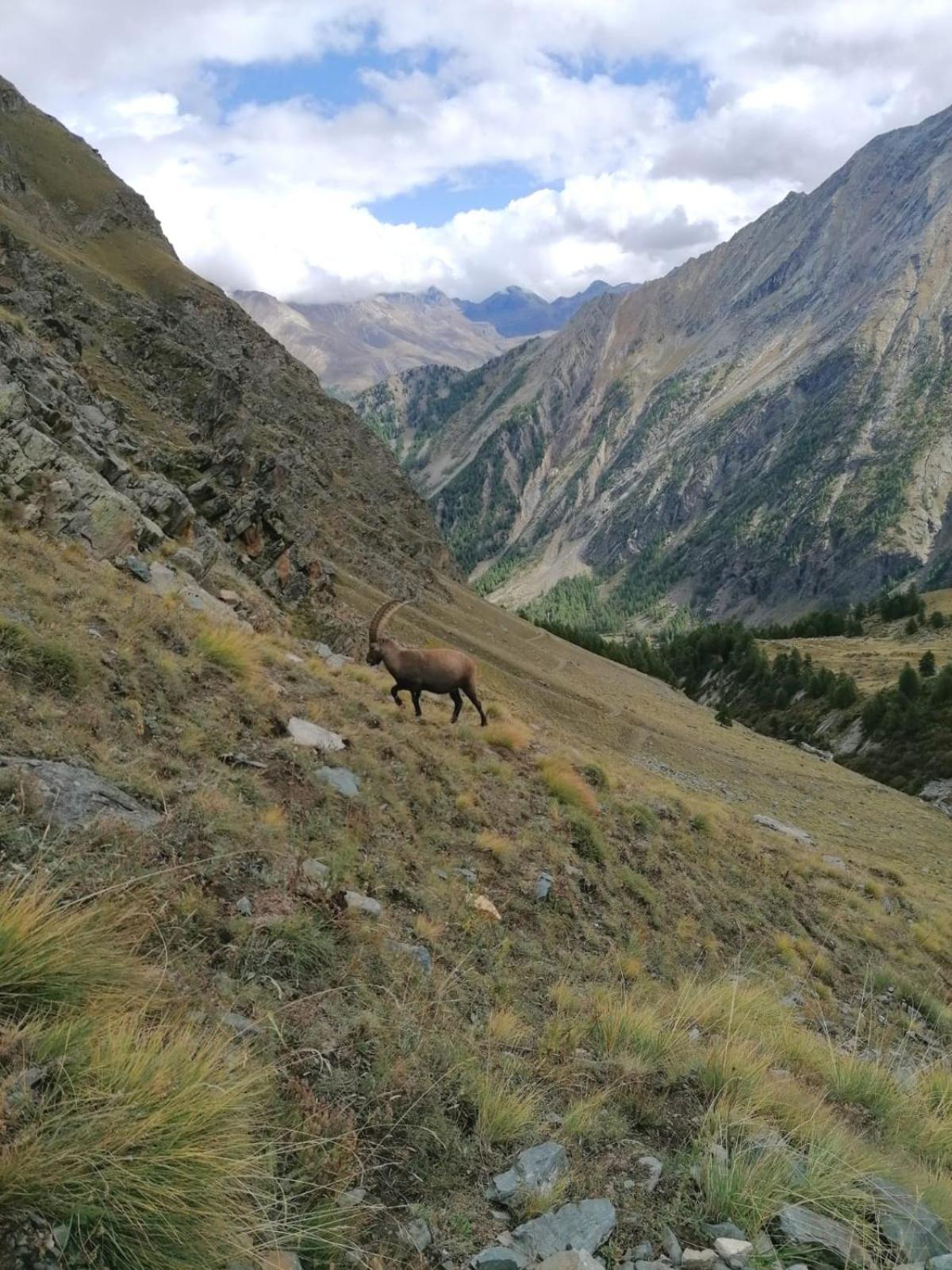 Le Vieux Rascard view 2