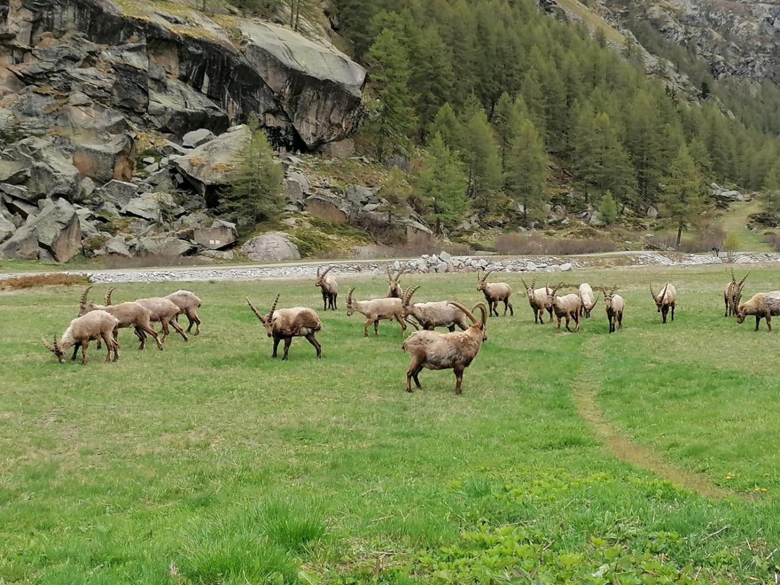 Le Vieux Rascard view 3