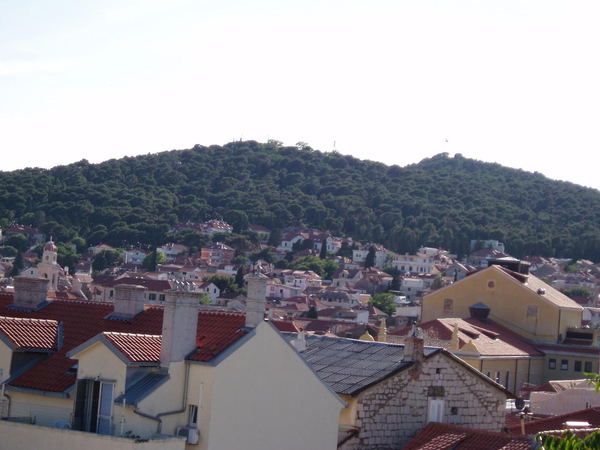 Photo 45