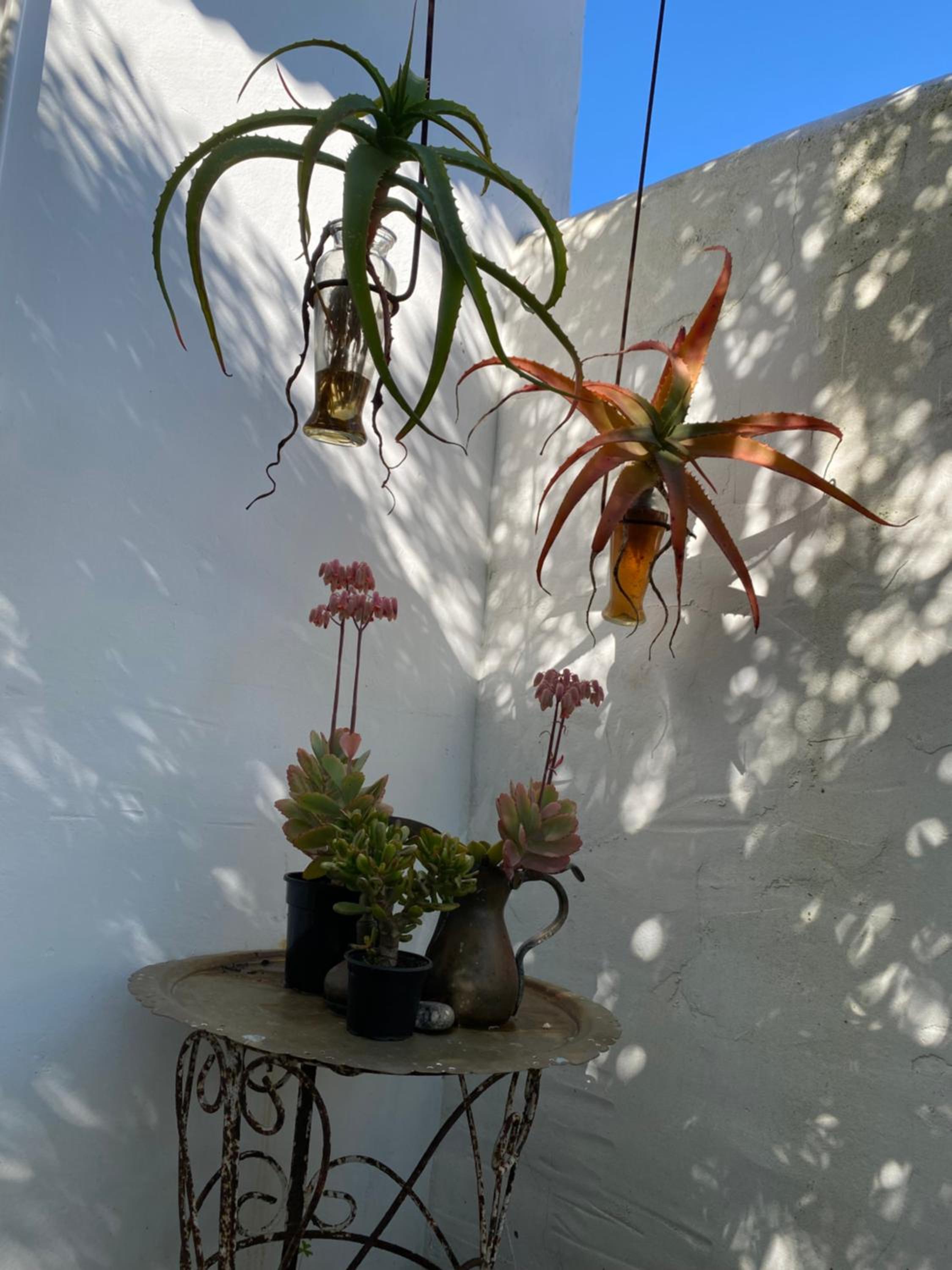 Photo 31