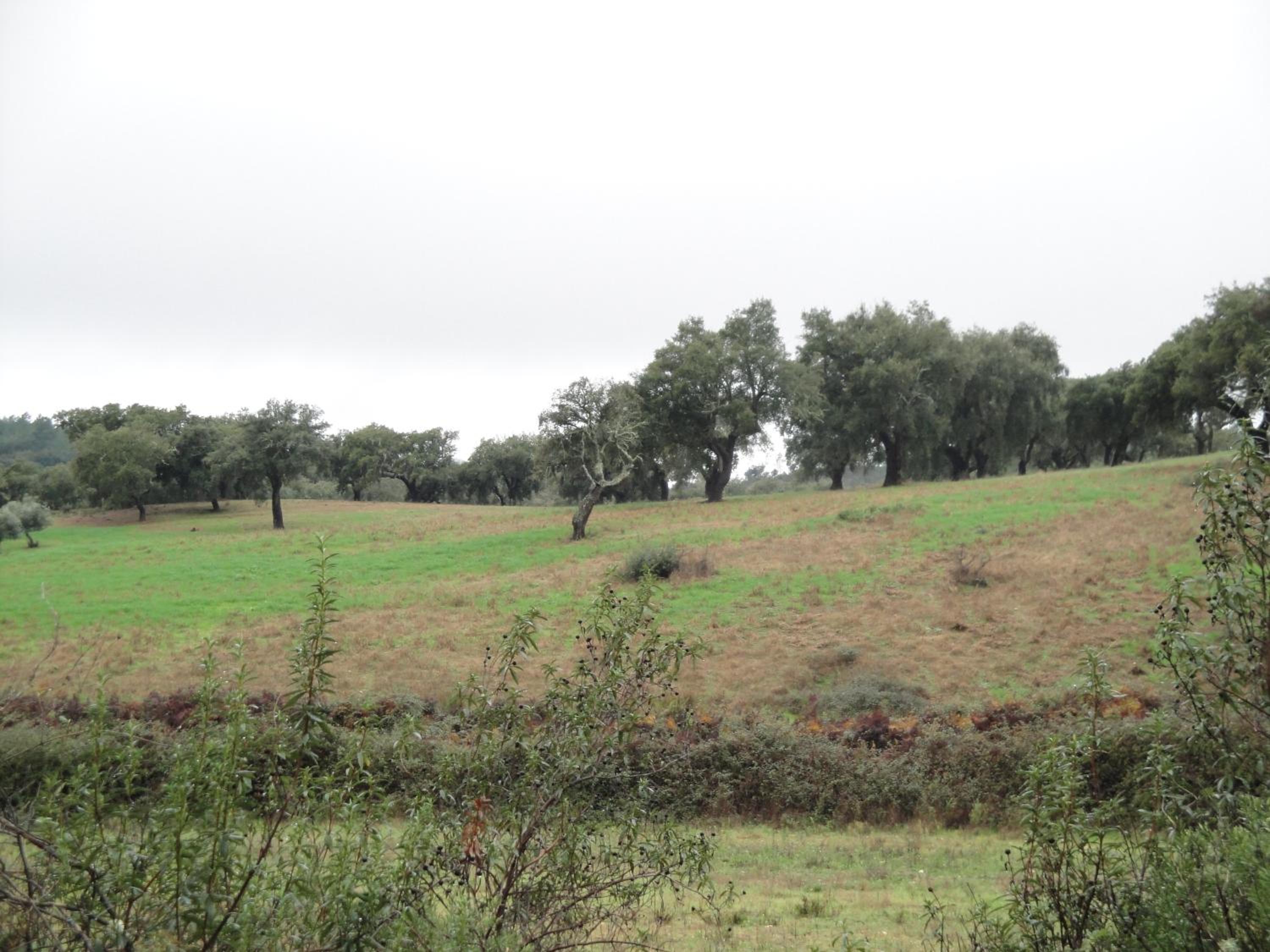 Casa Rural Sierra San Mamede