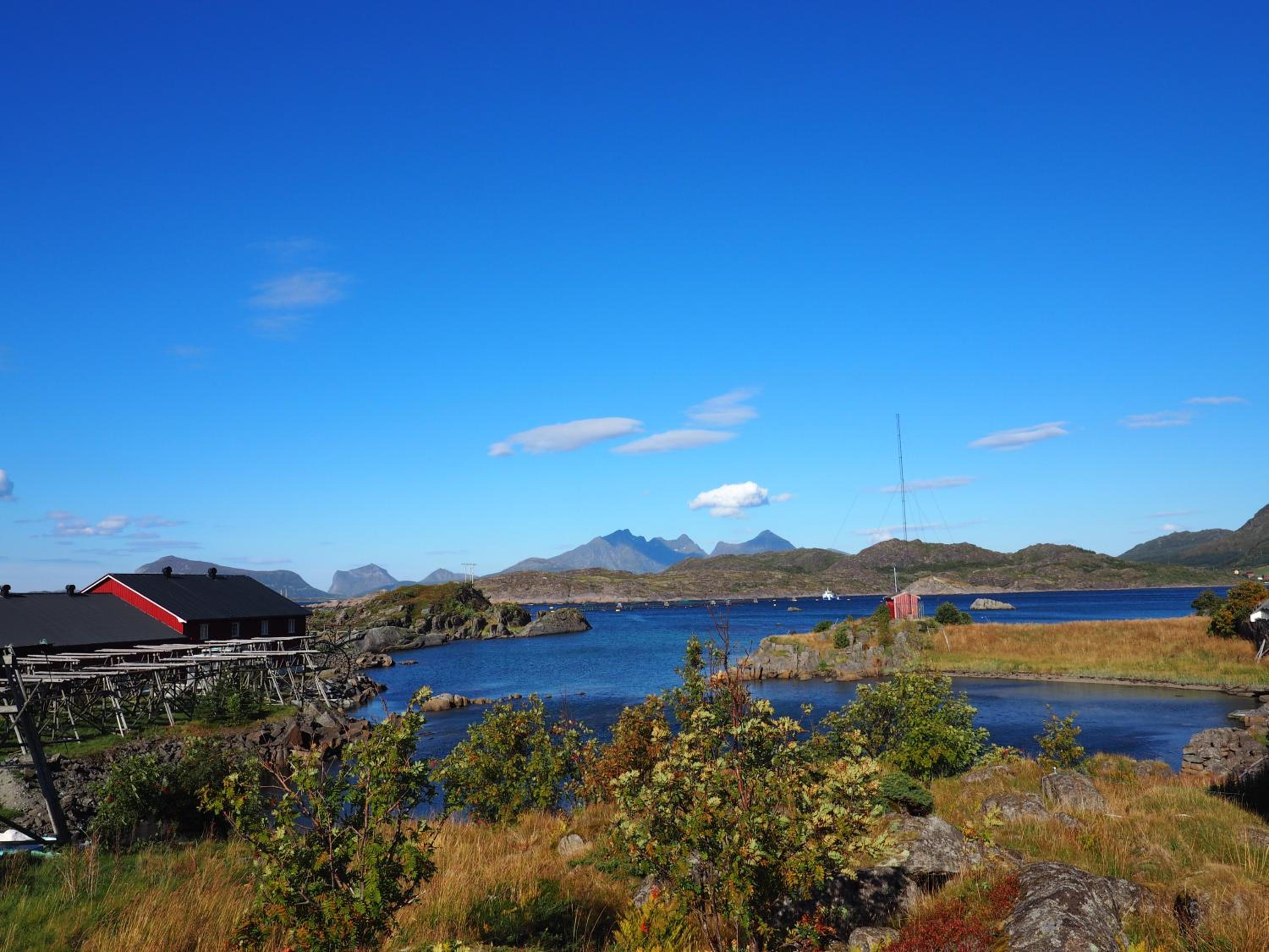 Mortsund Lodge Lofoten view 2