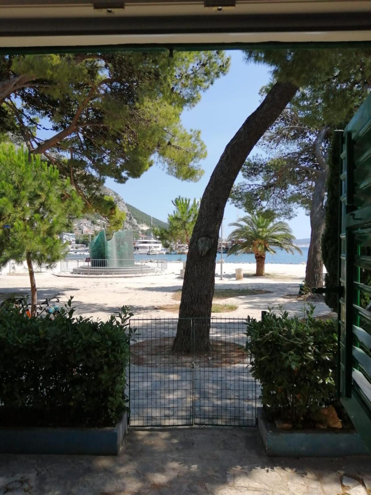 Photo 48
