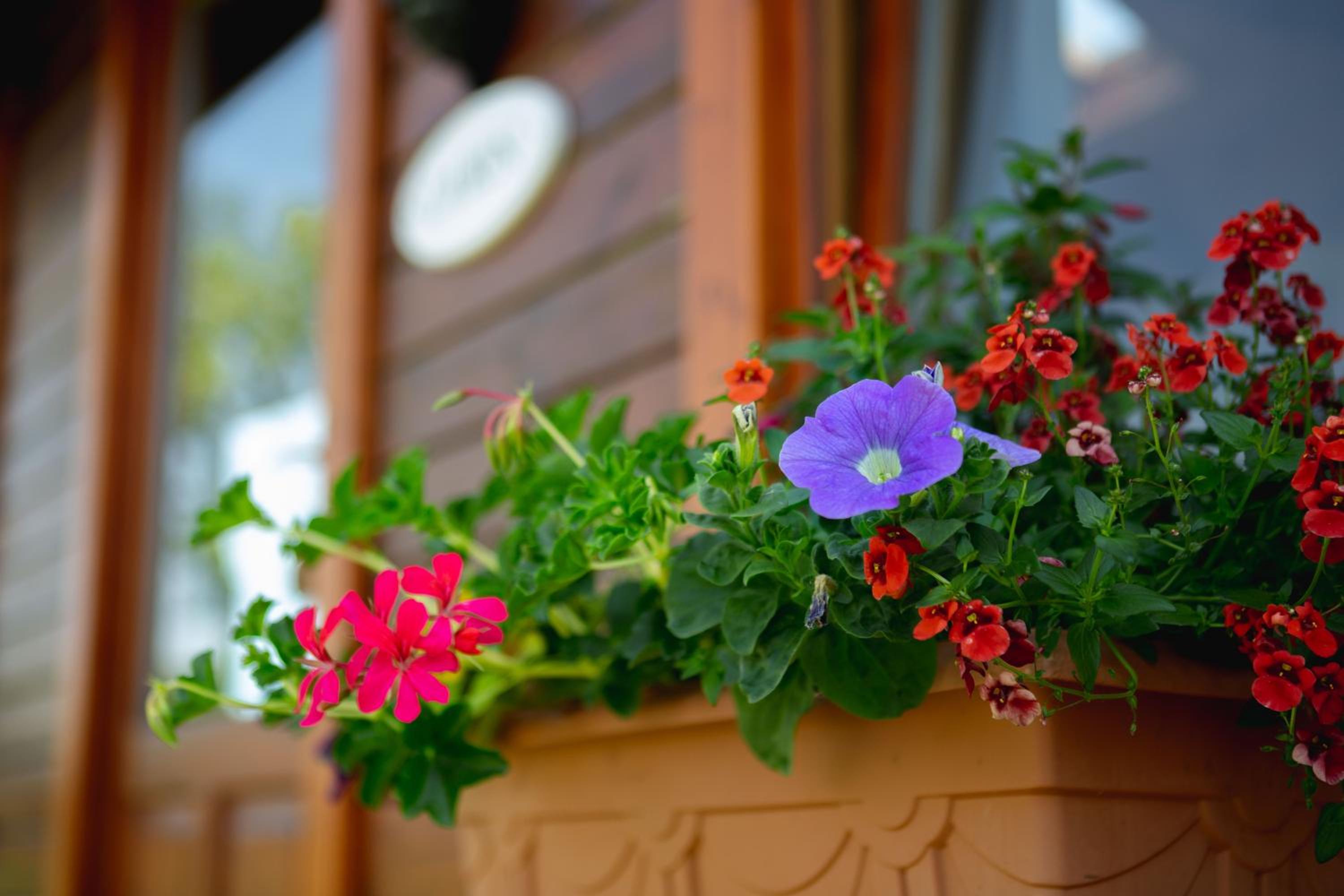 Middlewick Holiday Cottages