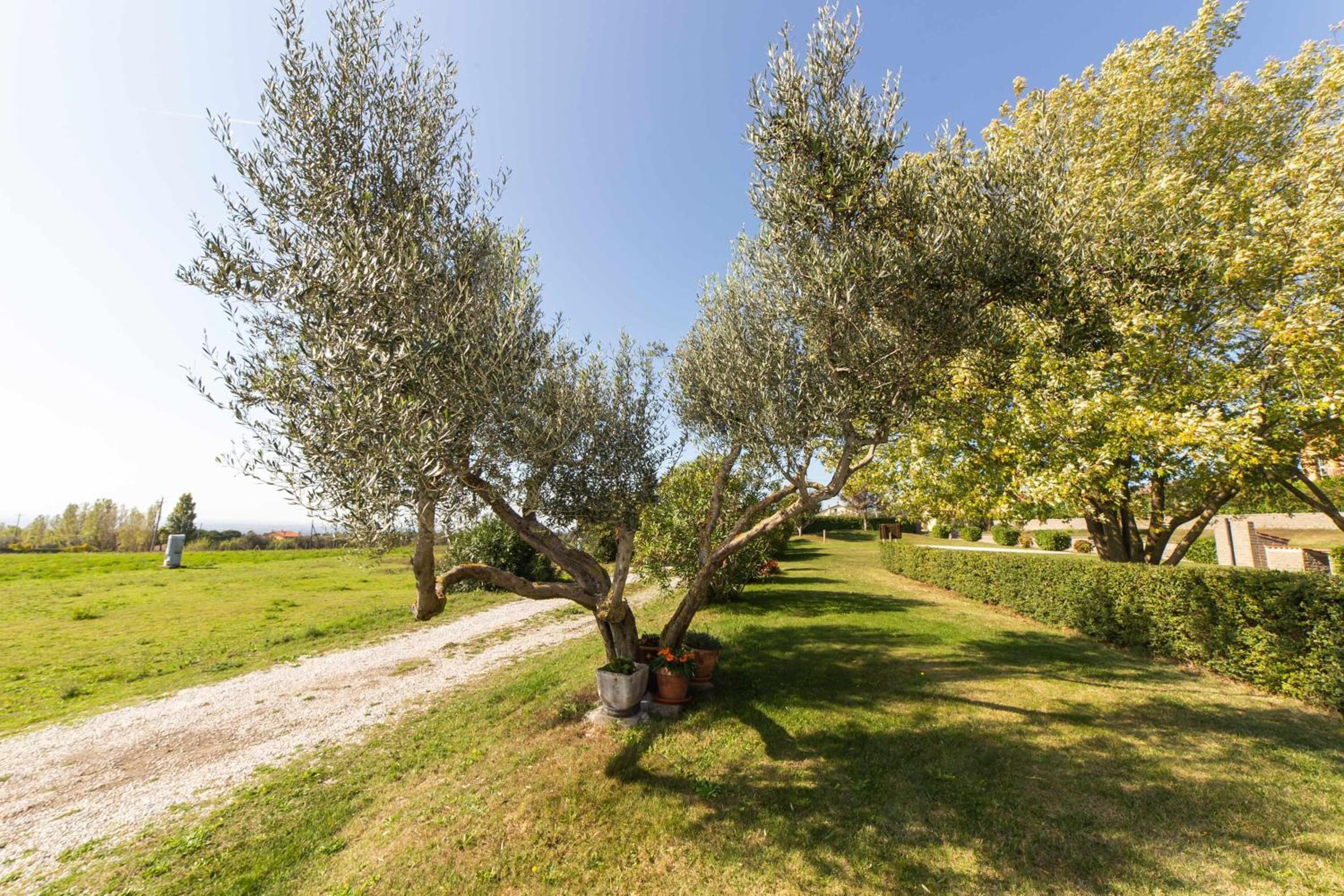 Agriturismo Bella Cima