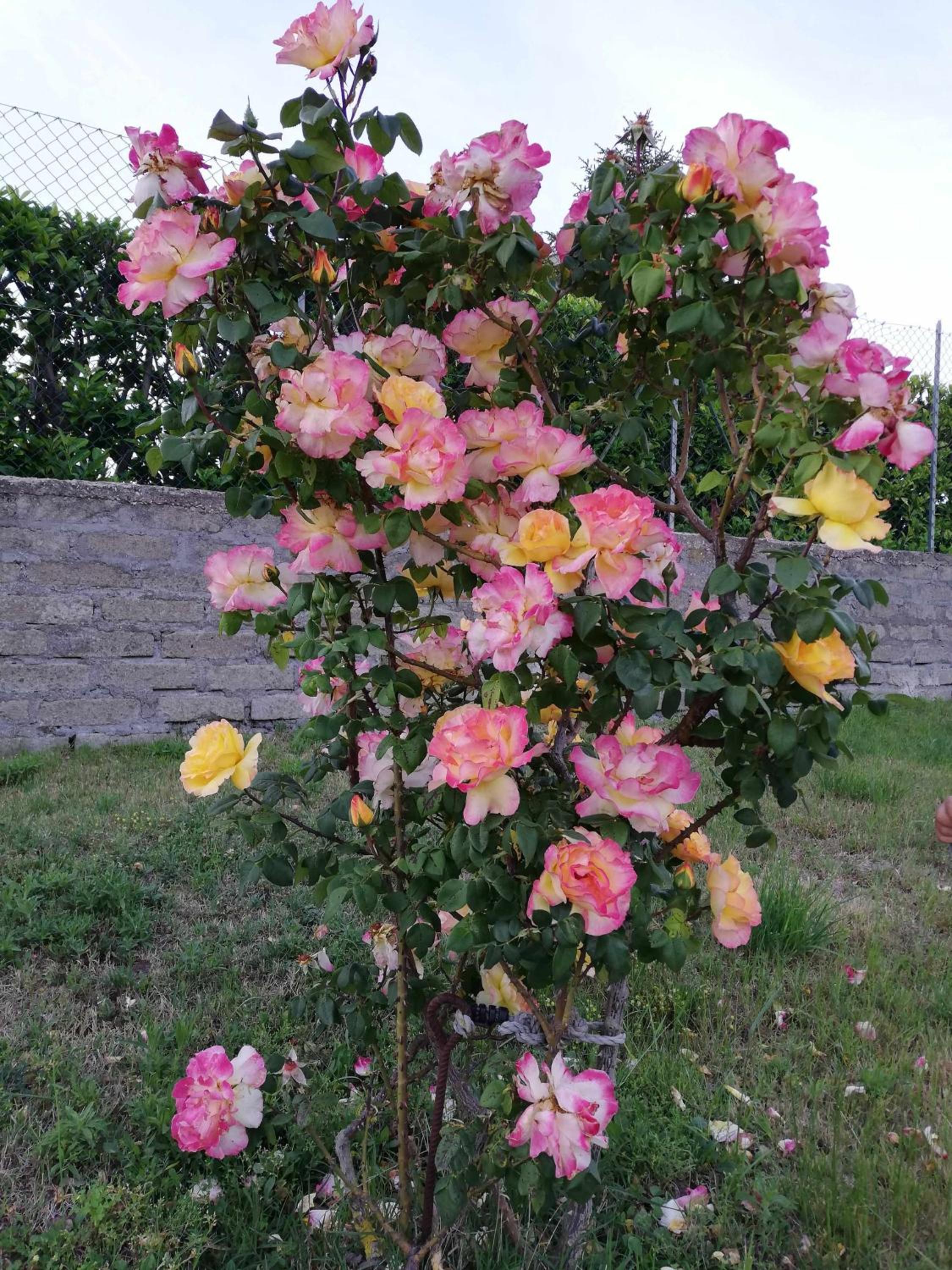 Agriturismo Bella Cima