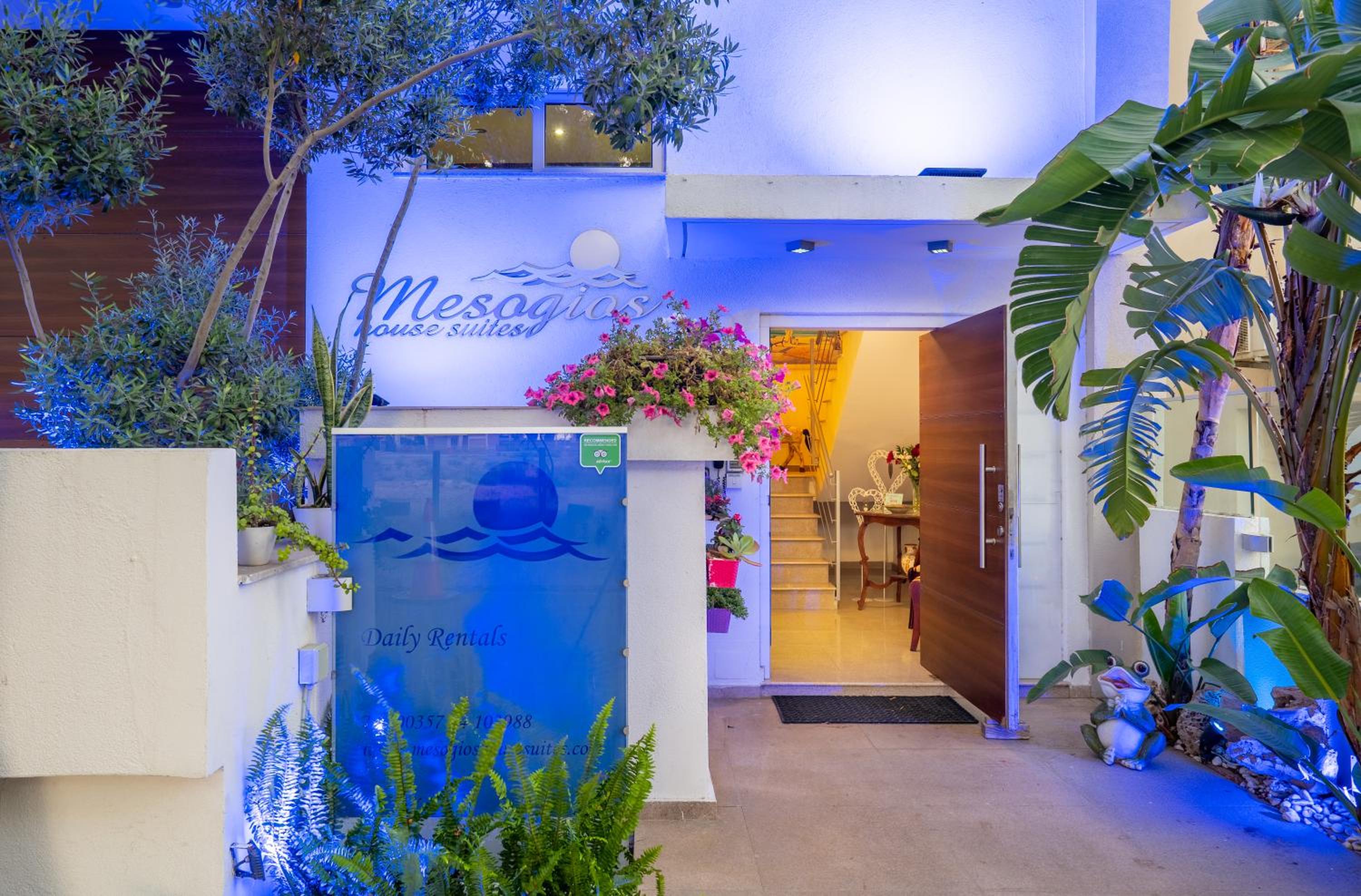Mesogios House Suites view 2