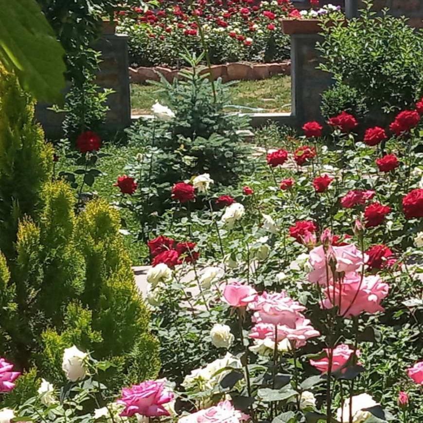 Guest house Hasmik
