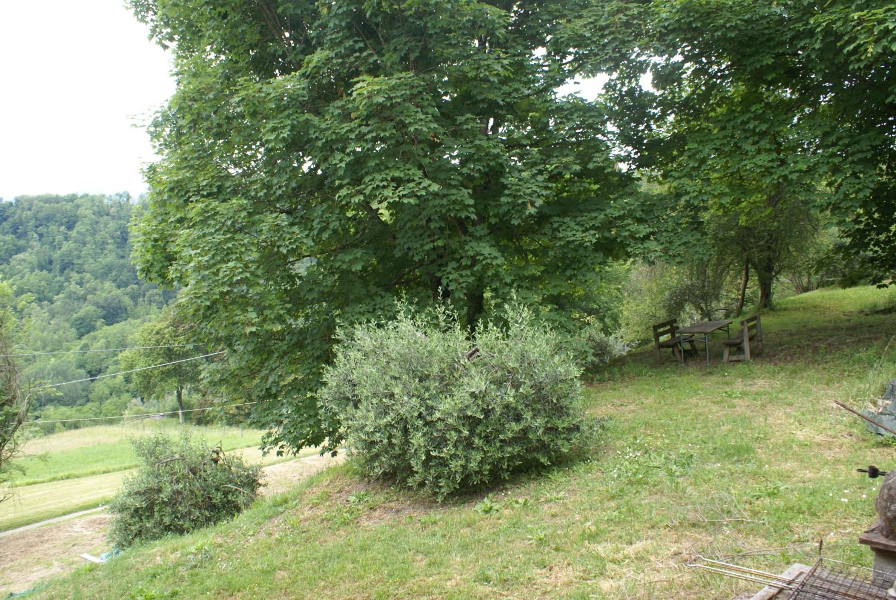 Tradizione Toscana ristrutturata nel 2021 photo 2