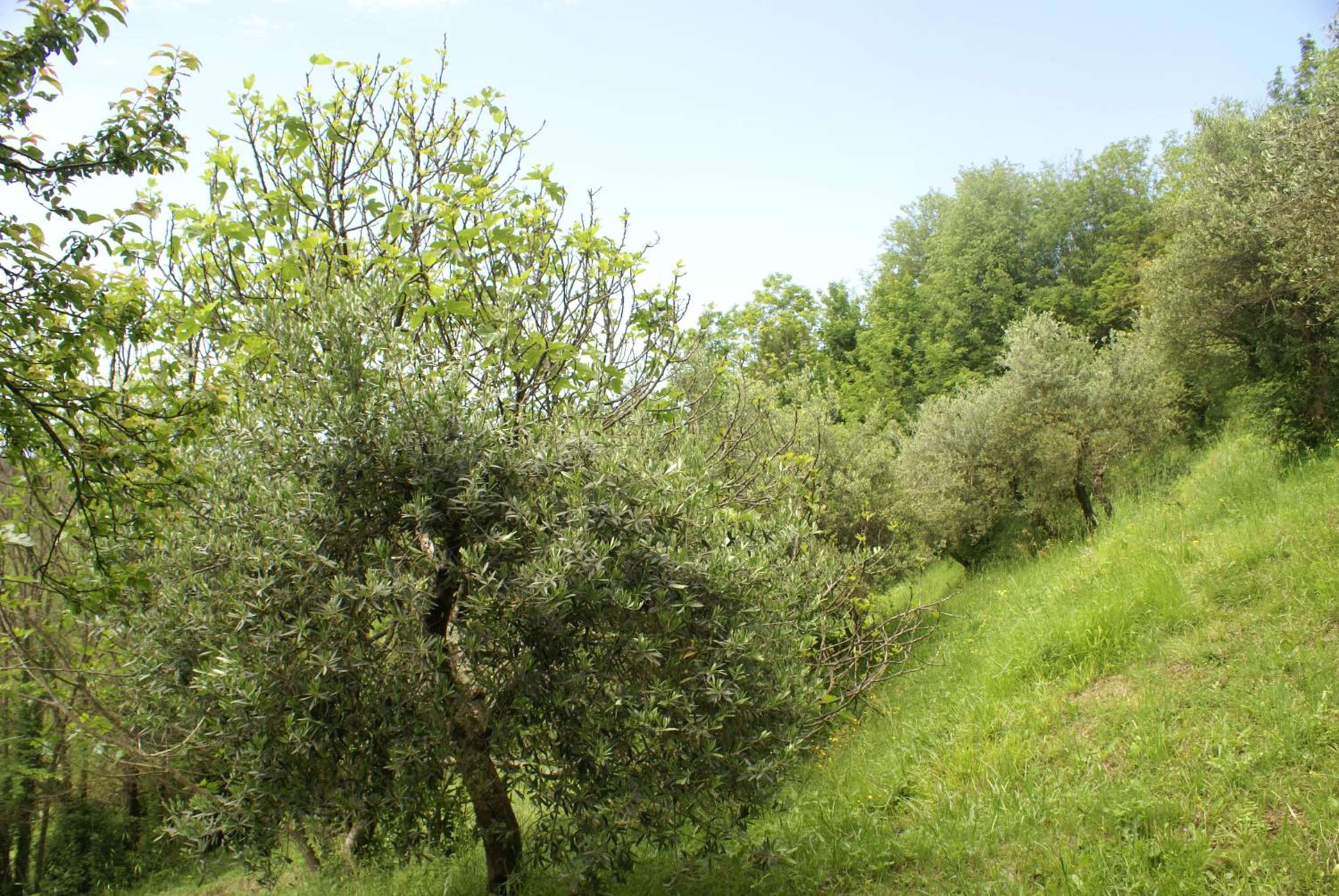 Photo 21