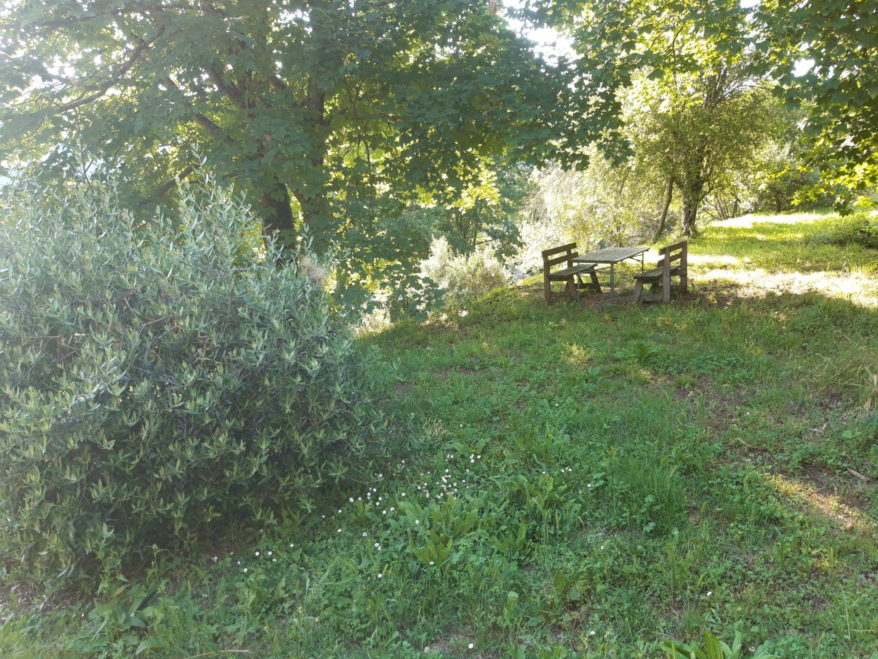 Photo 36