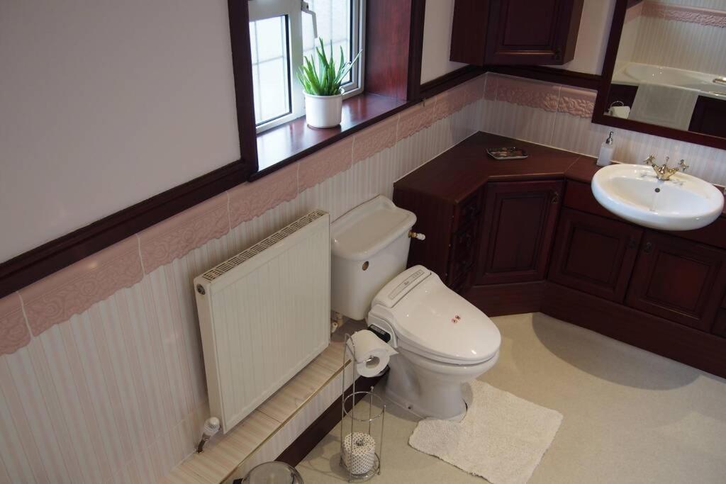 Yelverton Vacations - Hectors House comfortable 4 bed house in mature gardens - Property Image 50