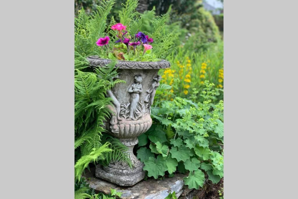 Yelverton Vacations - Hectors House comfortable 4 bed house in mature gardens - Property Image 52