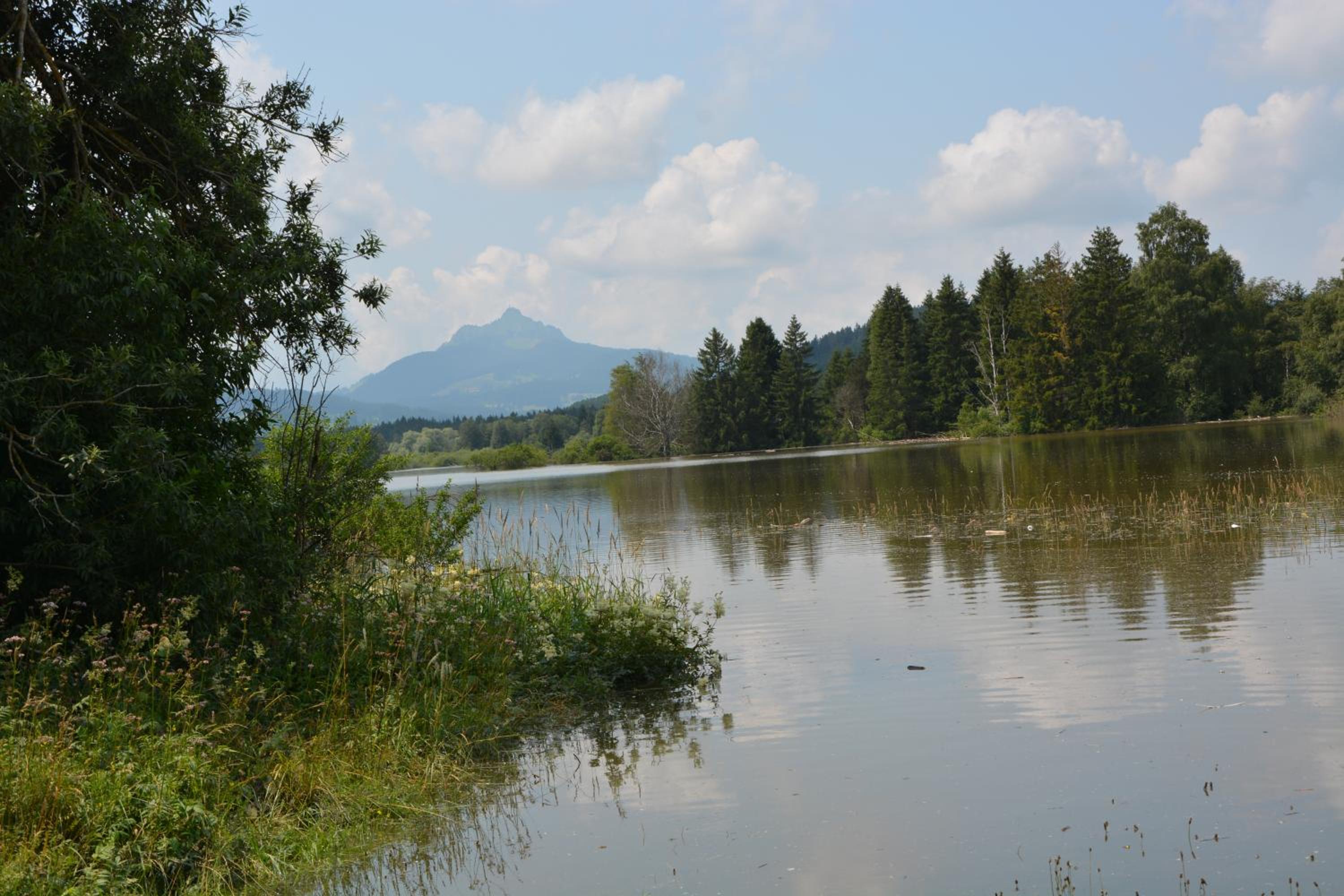 Alpenblick view 3