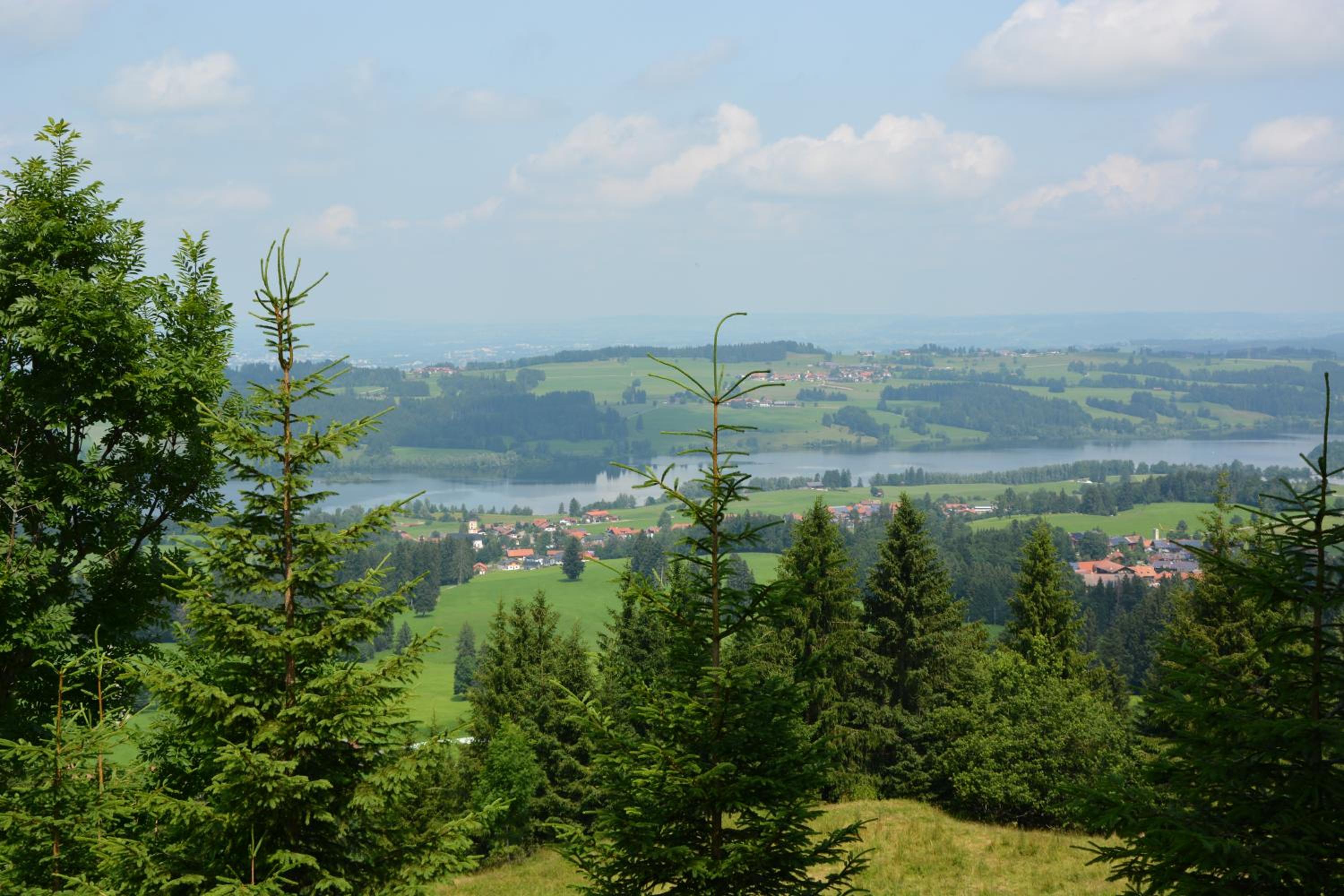 Alpenblick view 5