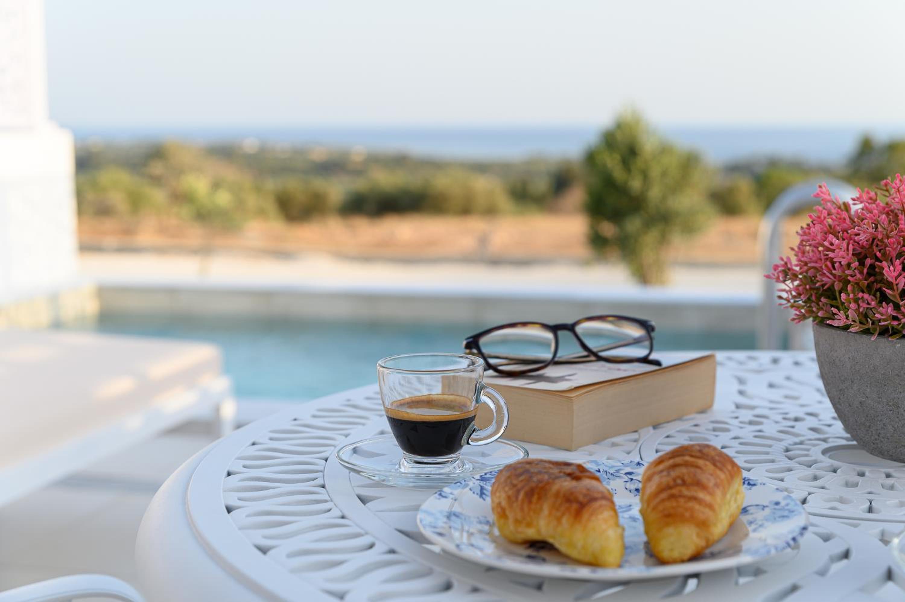 Dionisos Suites view 5