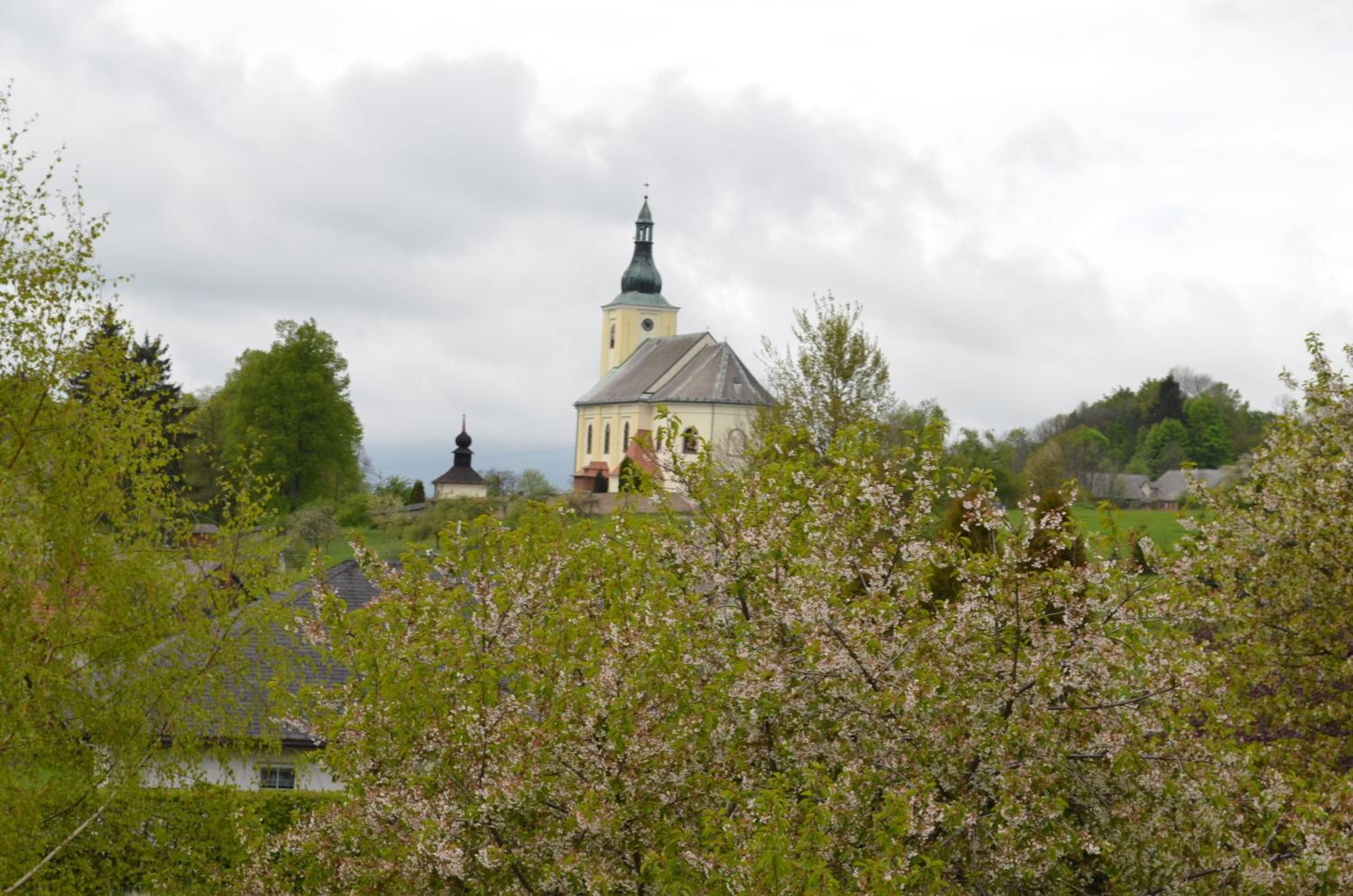 Photo 23