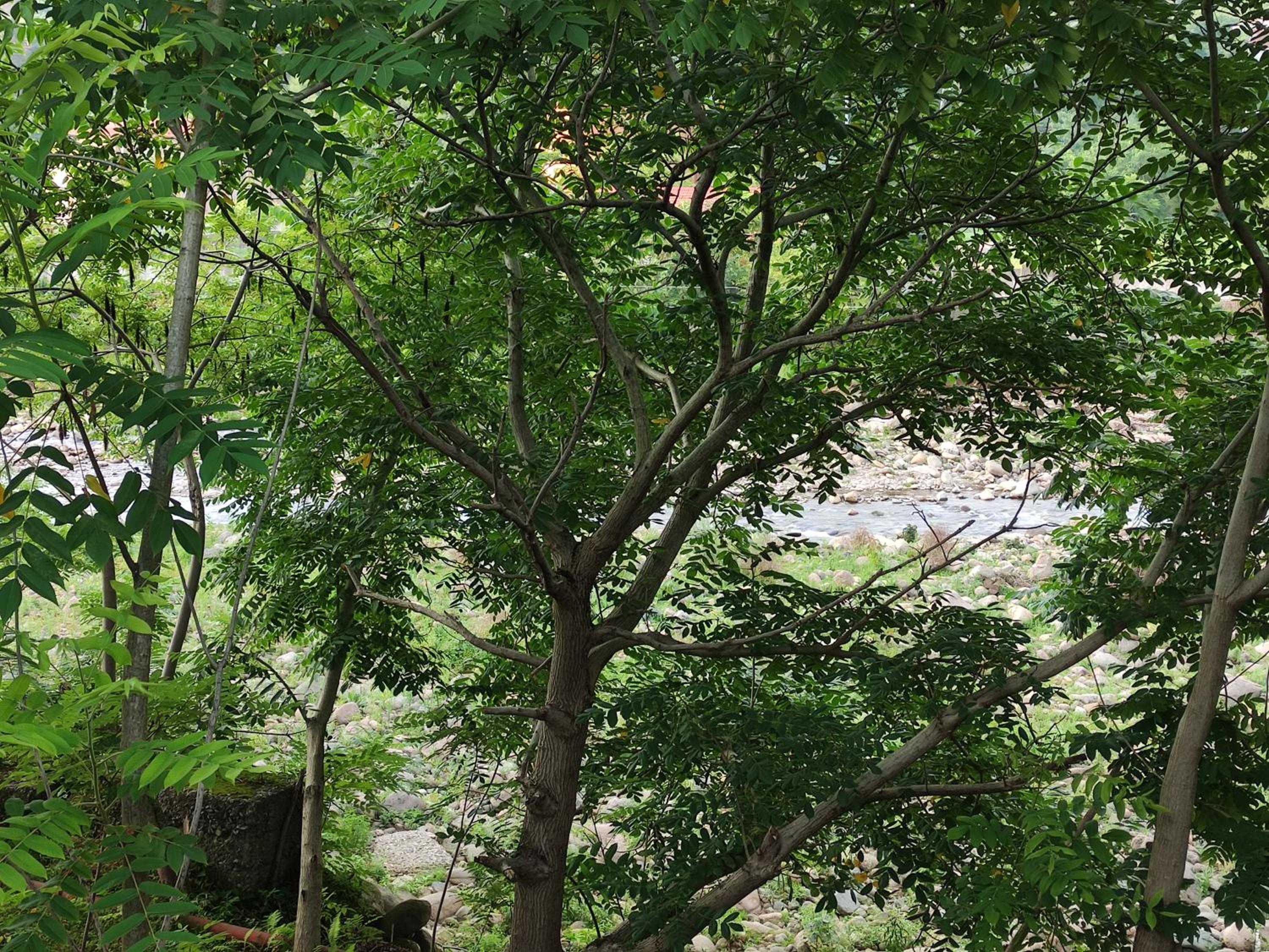 Hostel on the river view 4