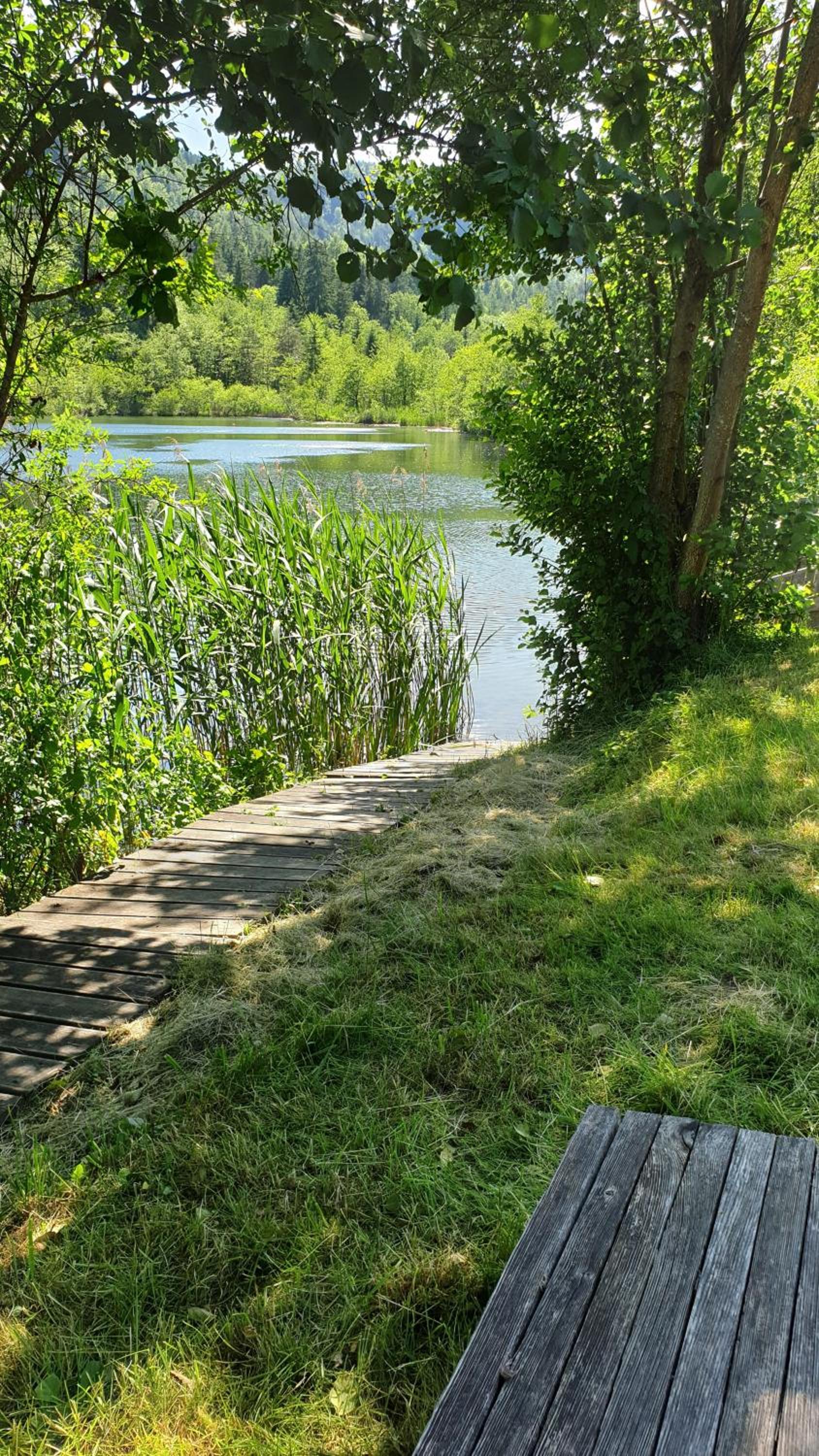 Ferienwohnungen Gut Seebacher view 4