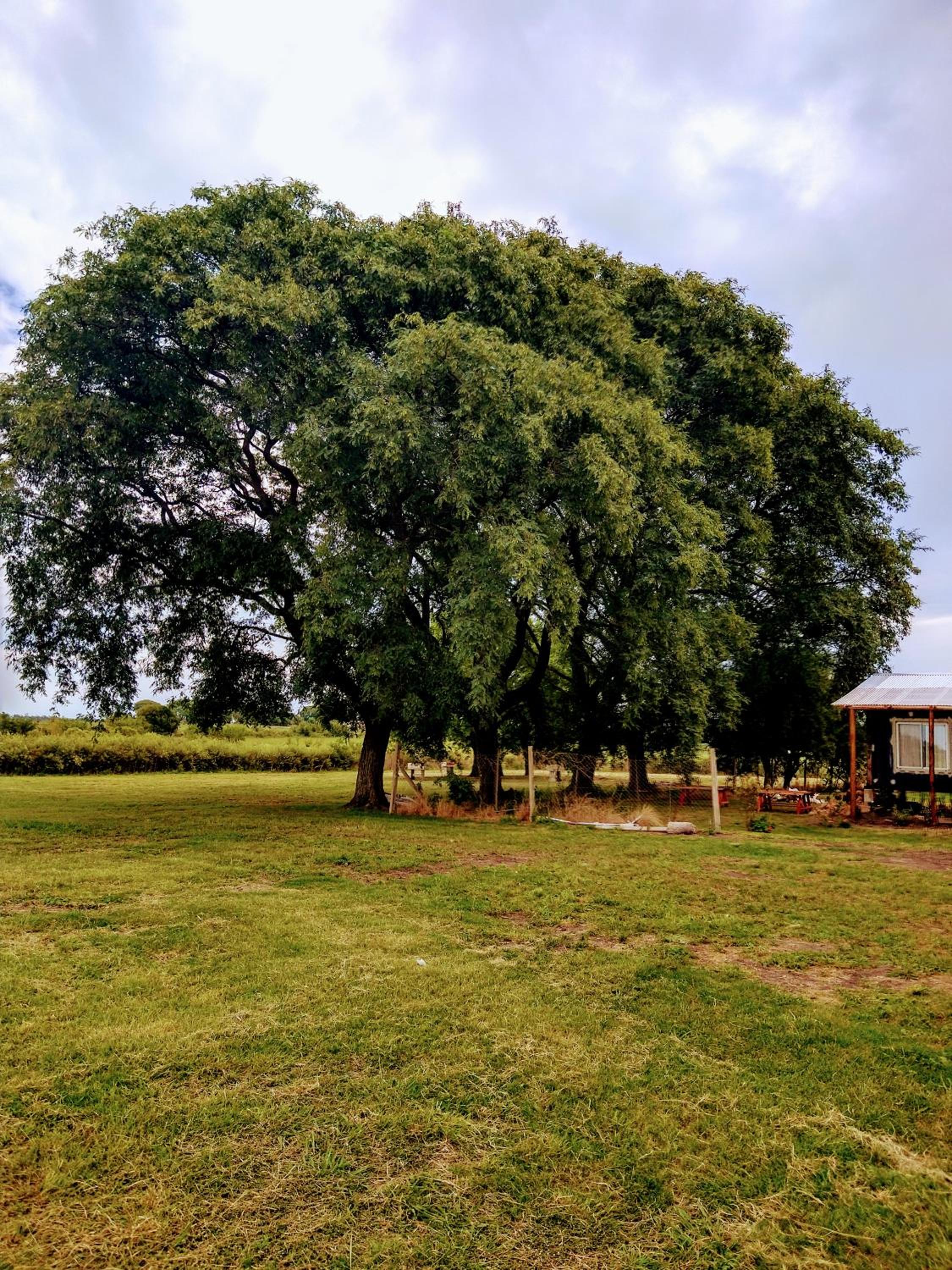 TURISMO RURAL La Amorosa Club de Campo