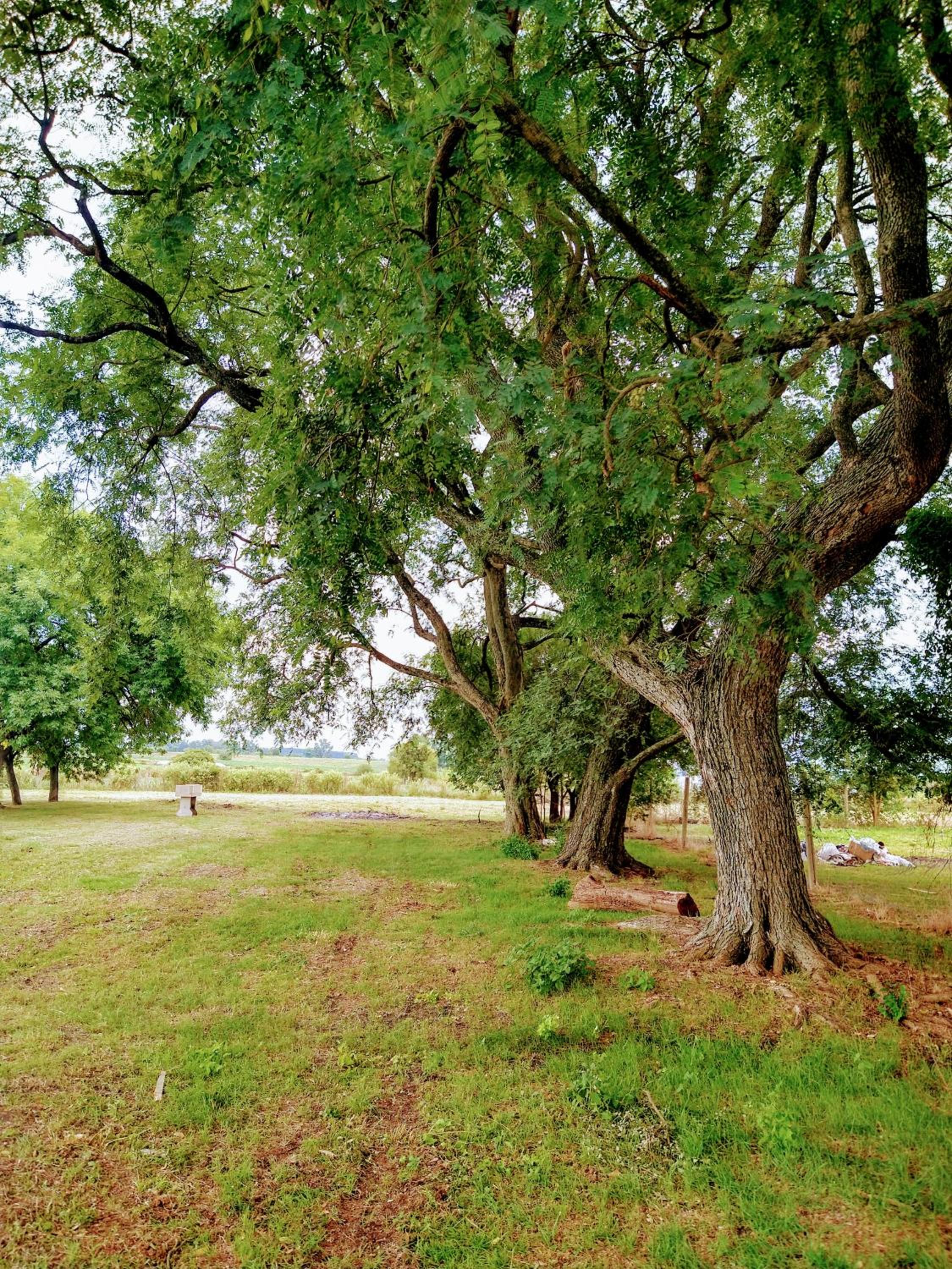 TURISMO RURAL La Amorosa Club de Campo